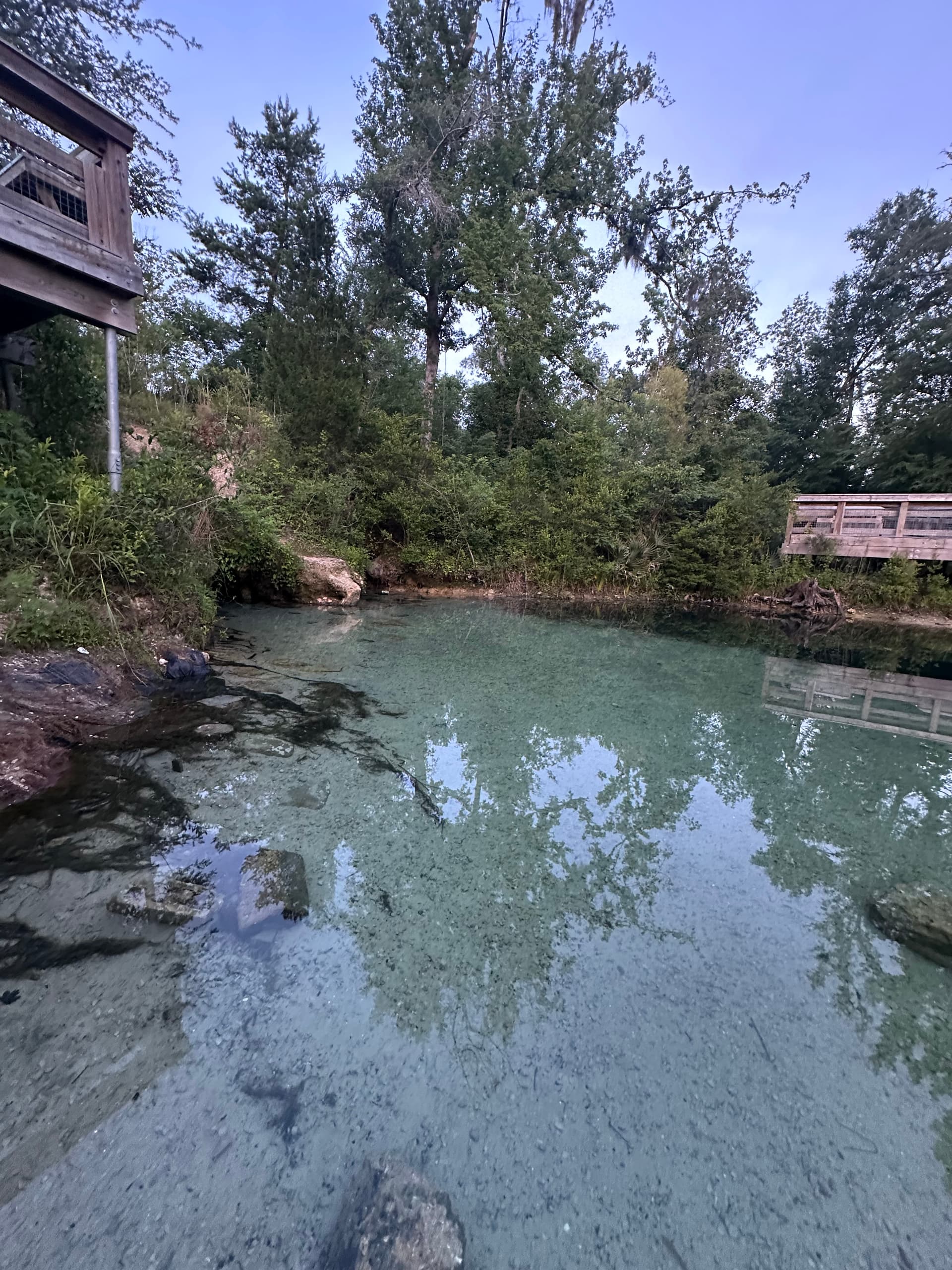 Blue Spring