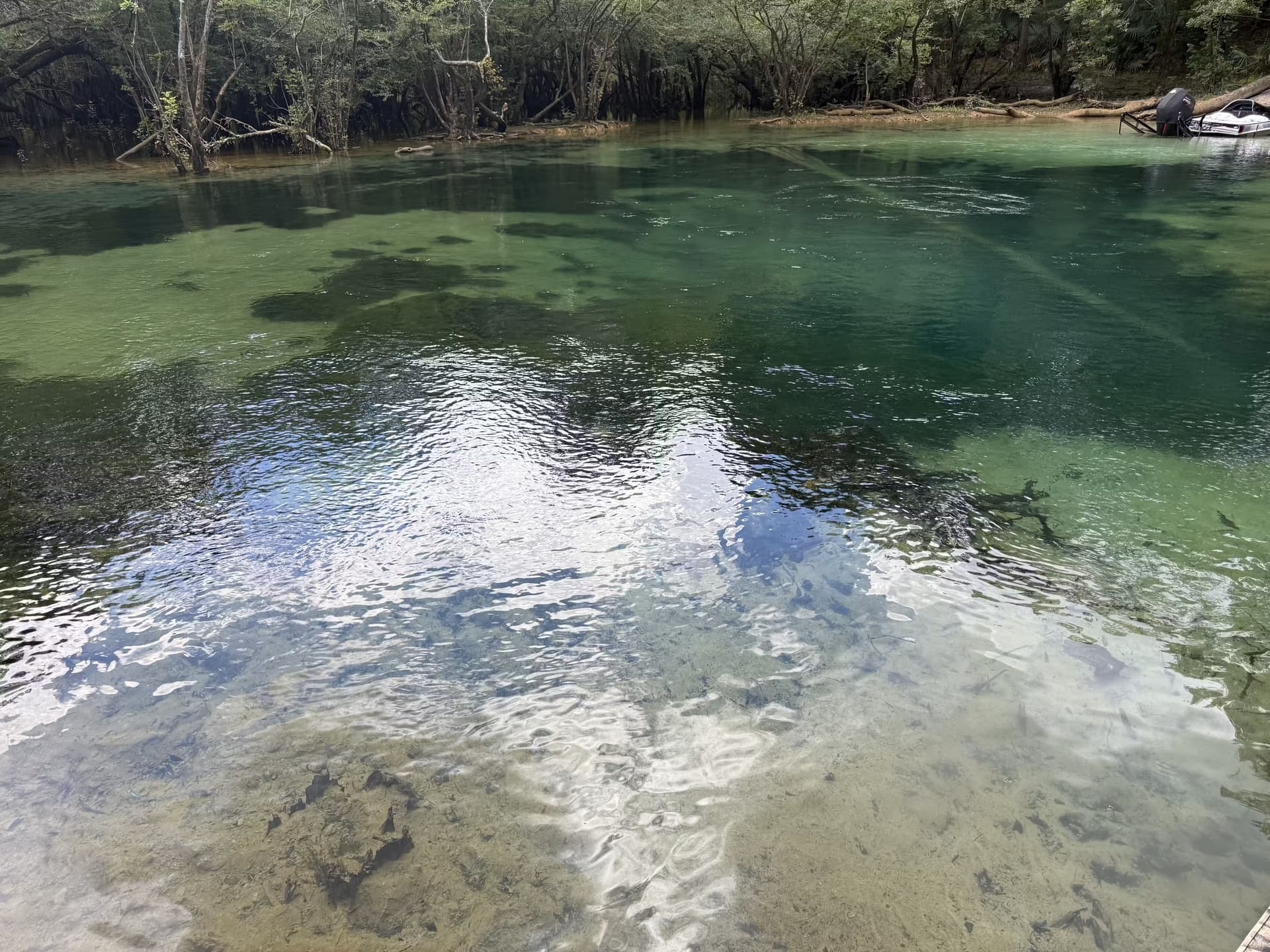 Washington Blue Spring
