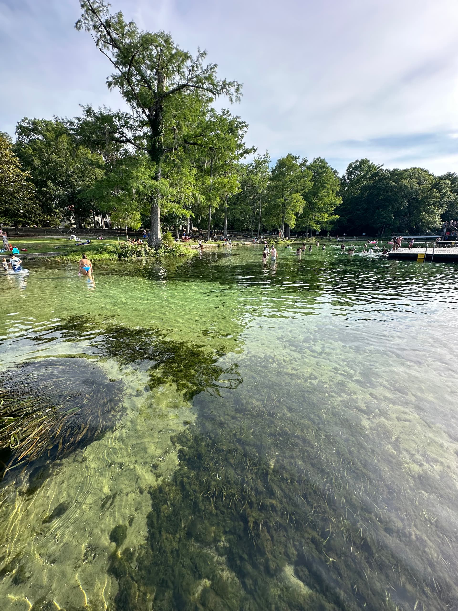 Wakulla Spring