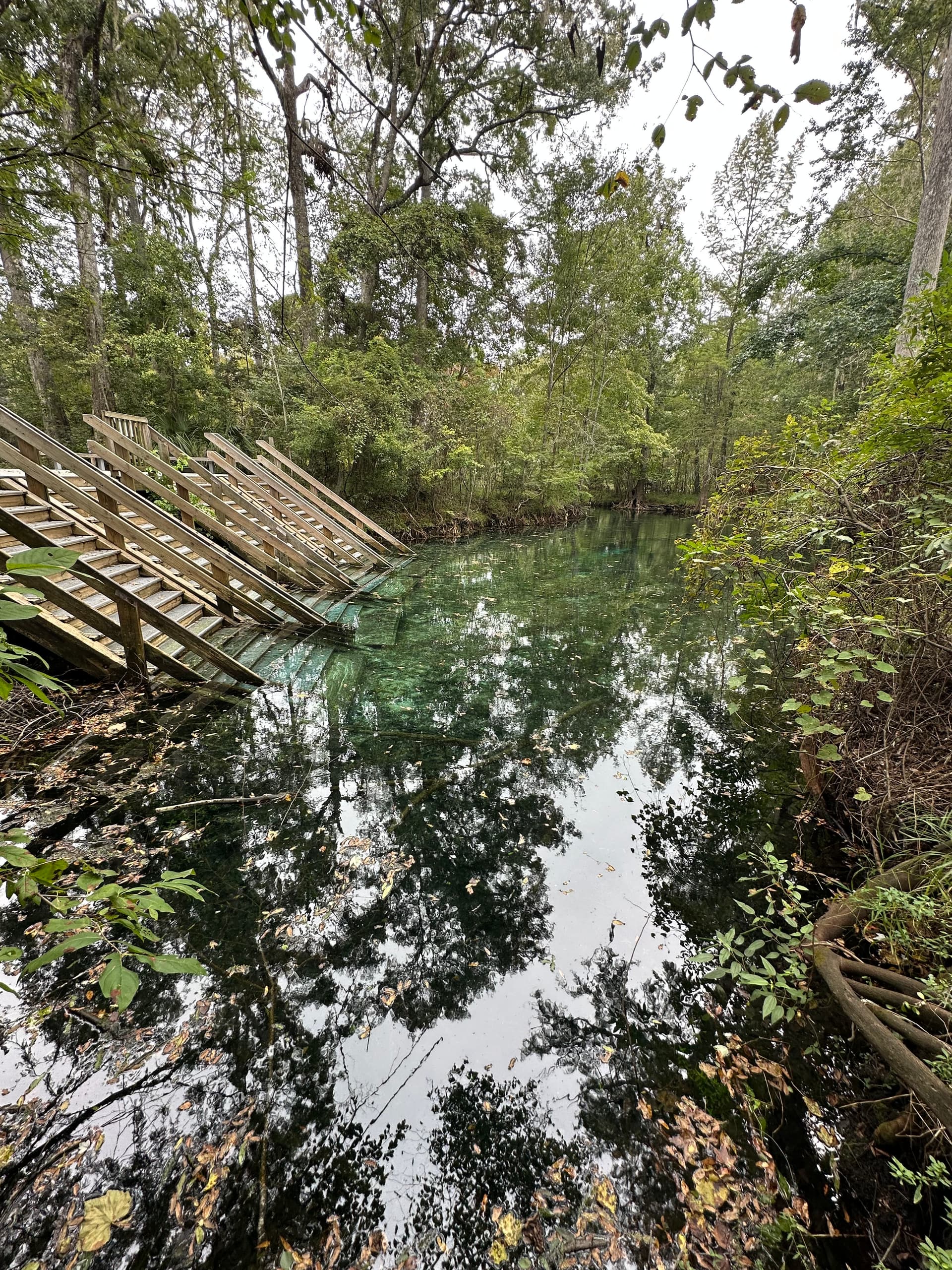 Twin Spring
