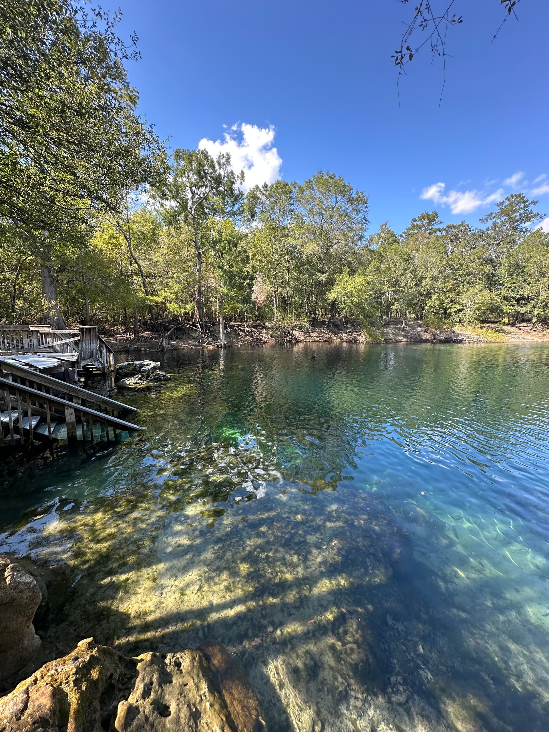 Troy Spring