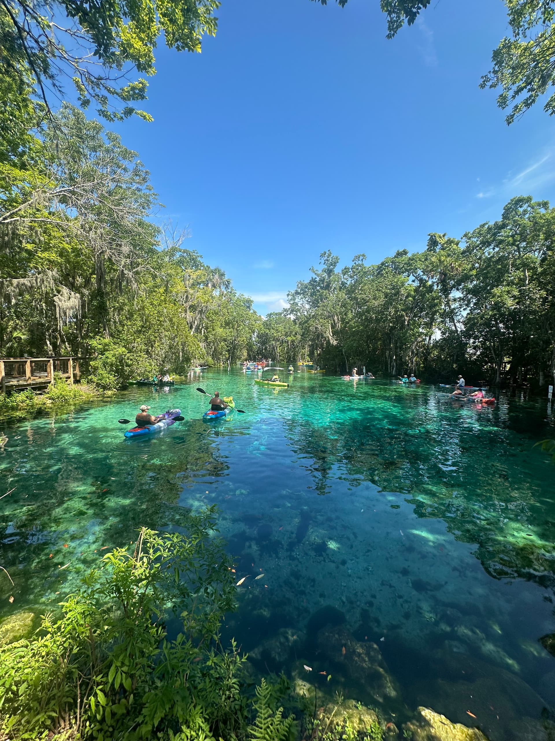 Three Sisters Springs