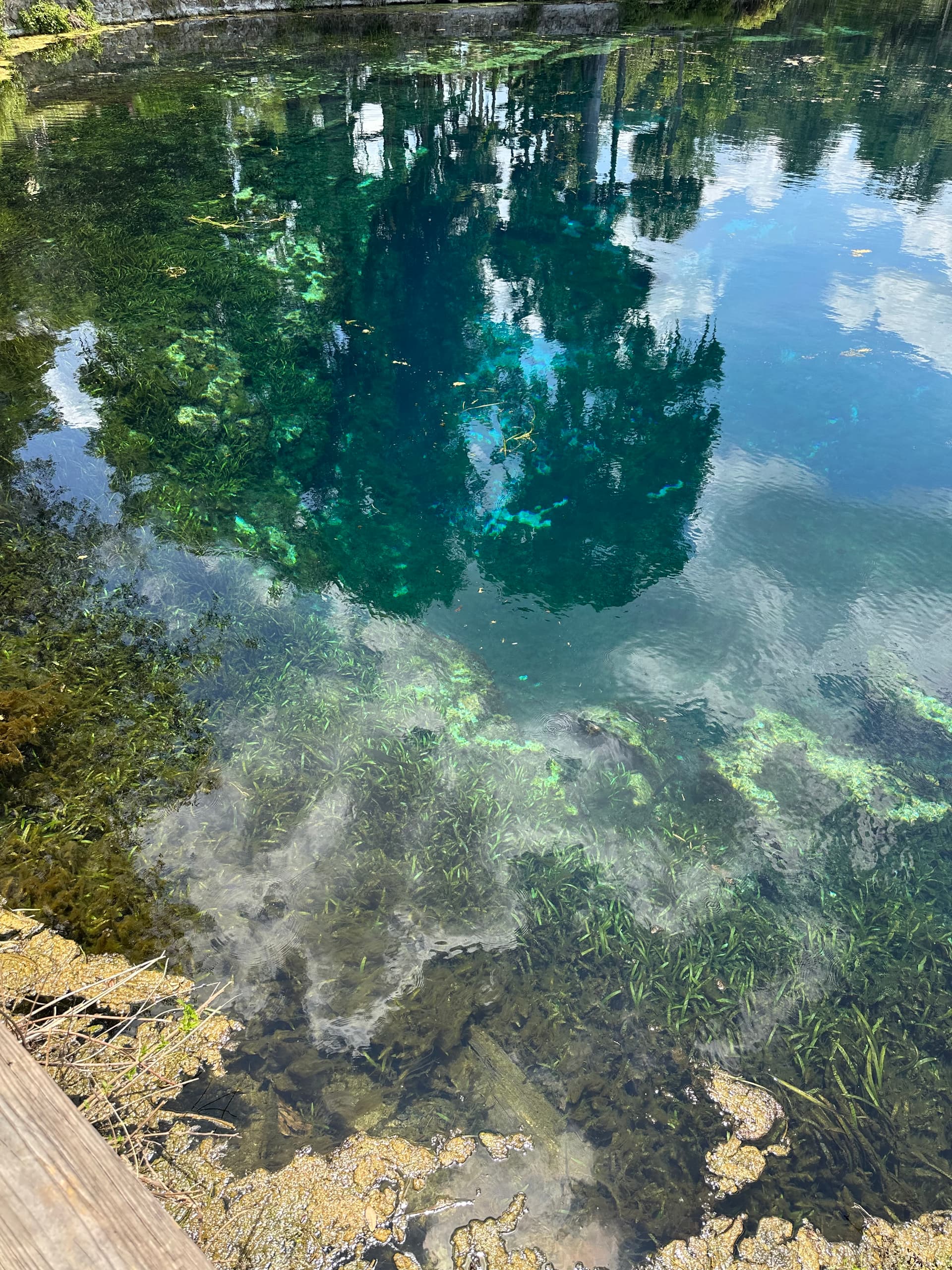 Silver Springs