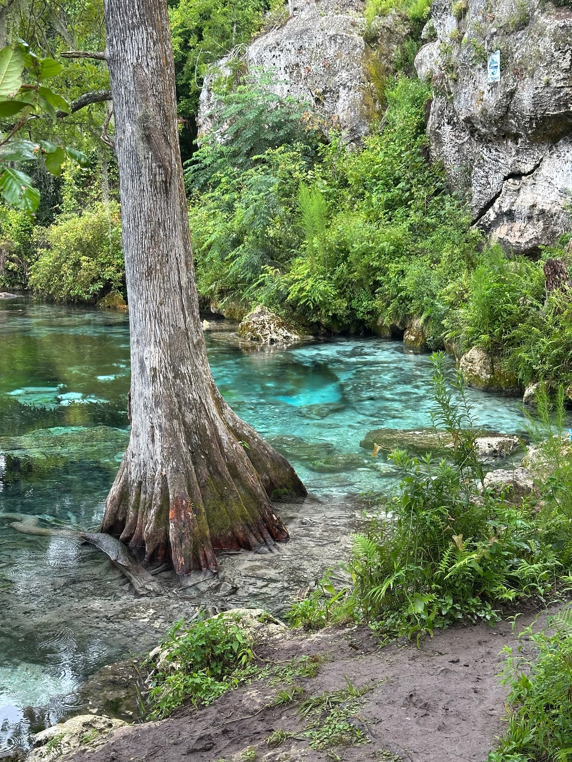 Shangri-La Springs