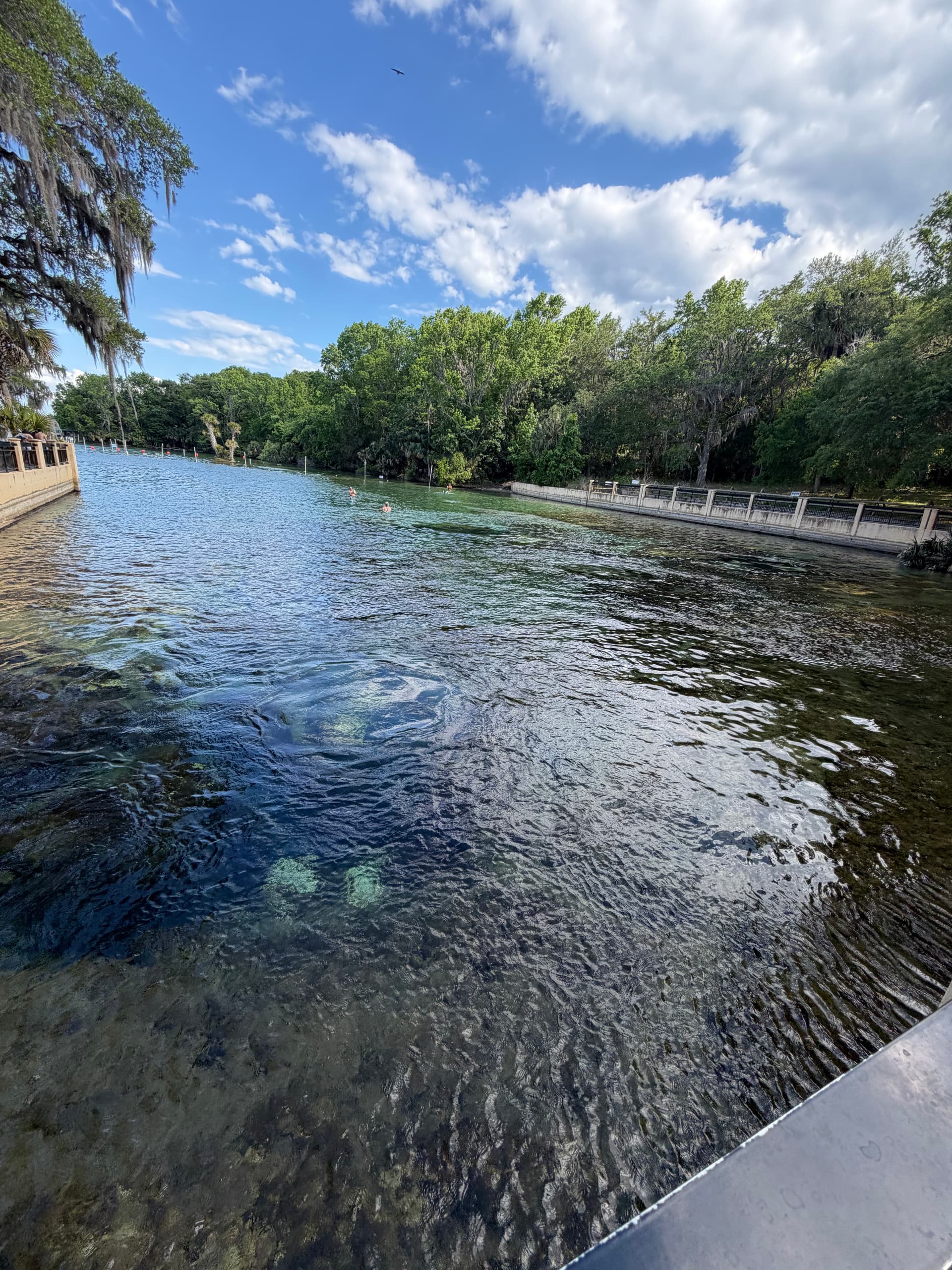 Salt Springs
