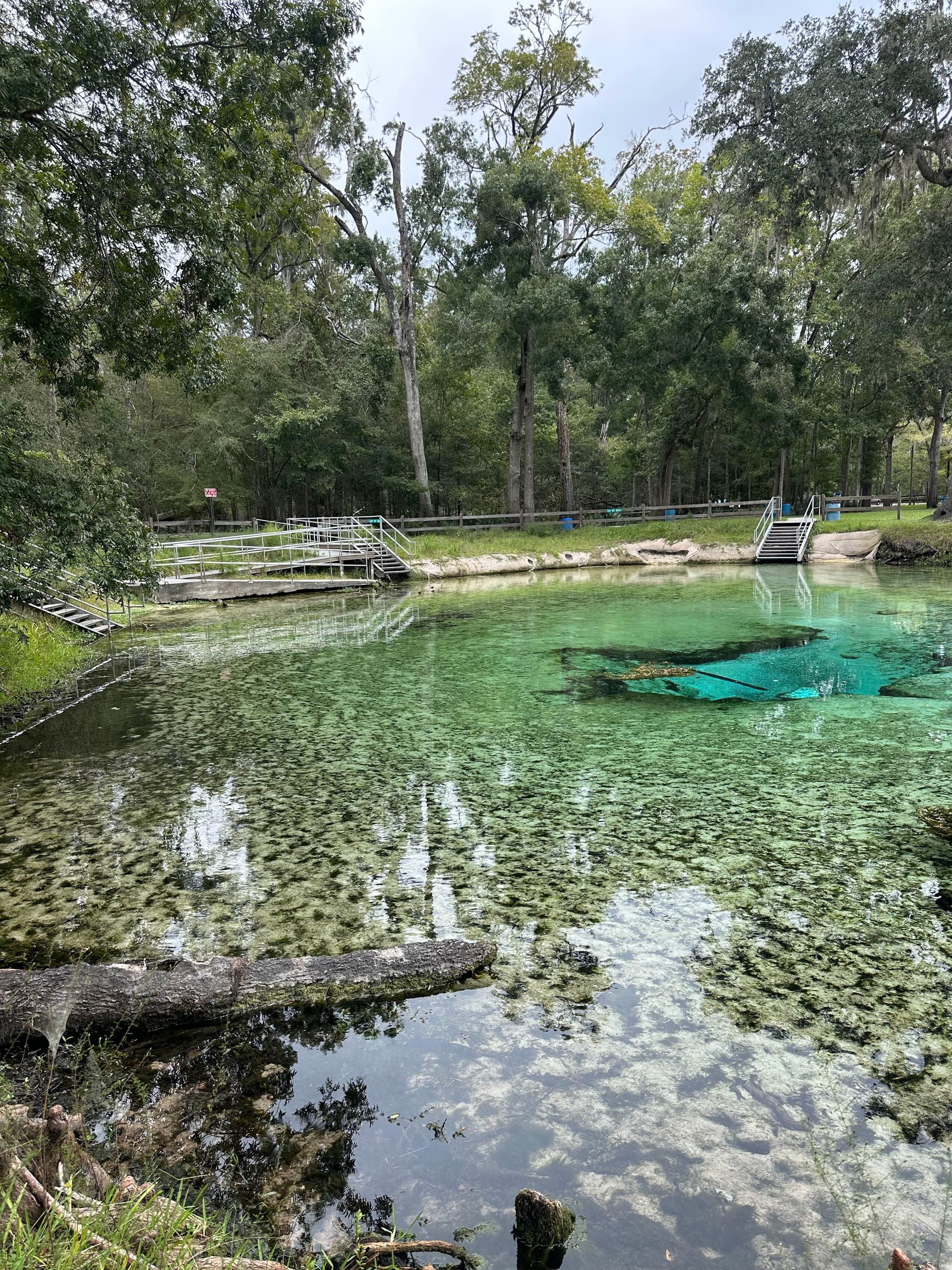 Rum Island Spring