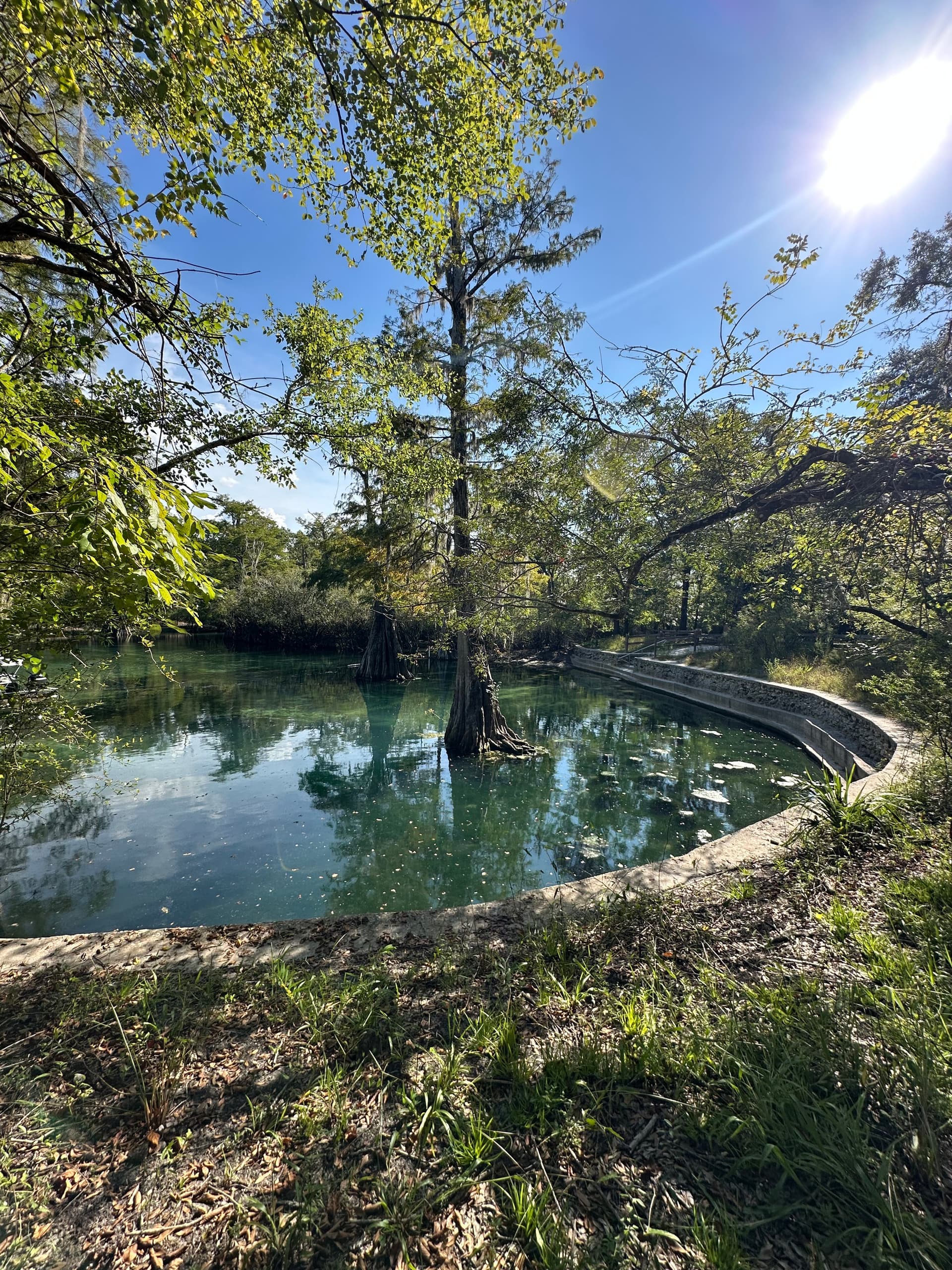Rock Bluff Springs