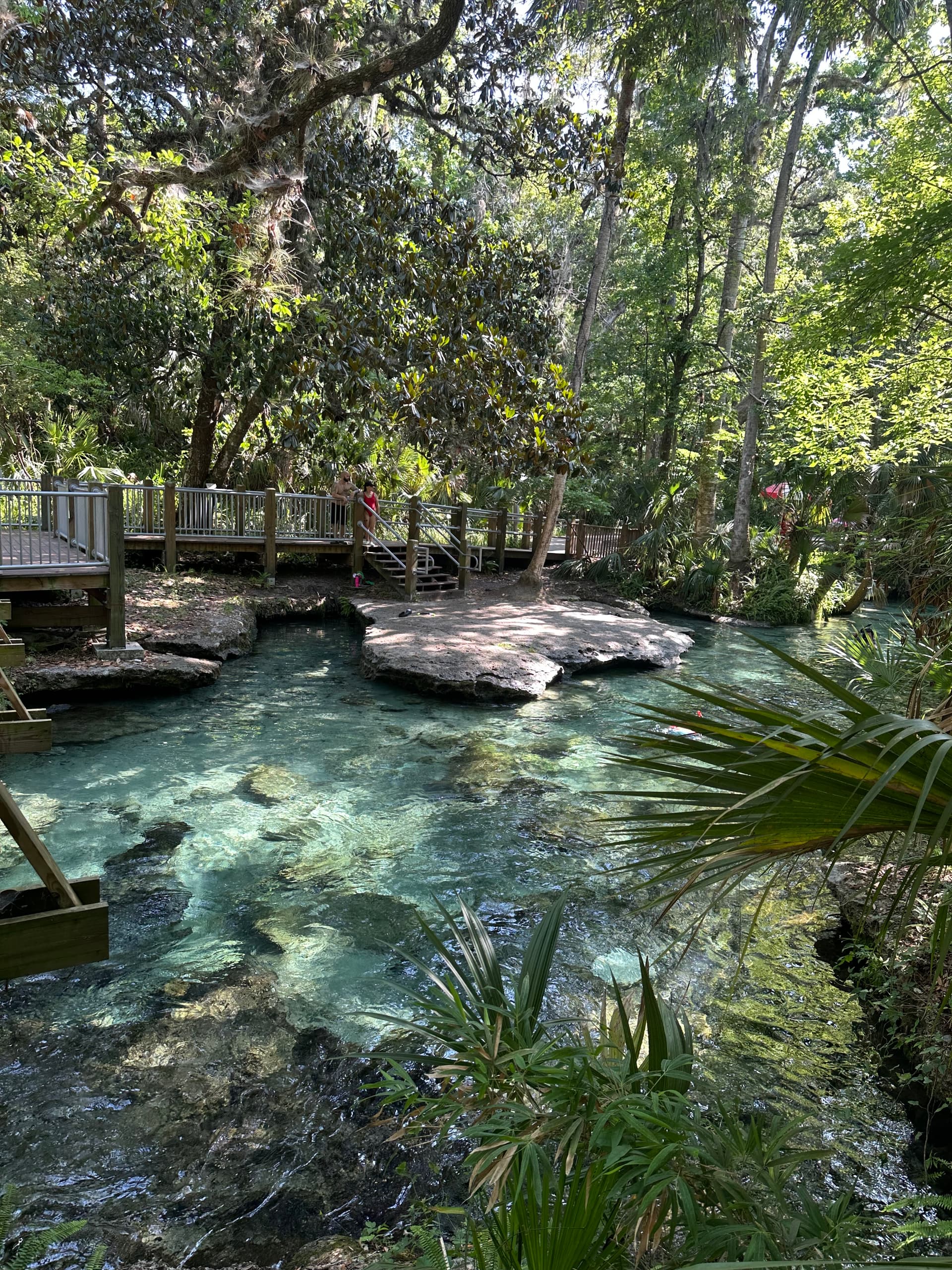 Kelly Park - Rock Springs