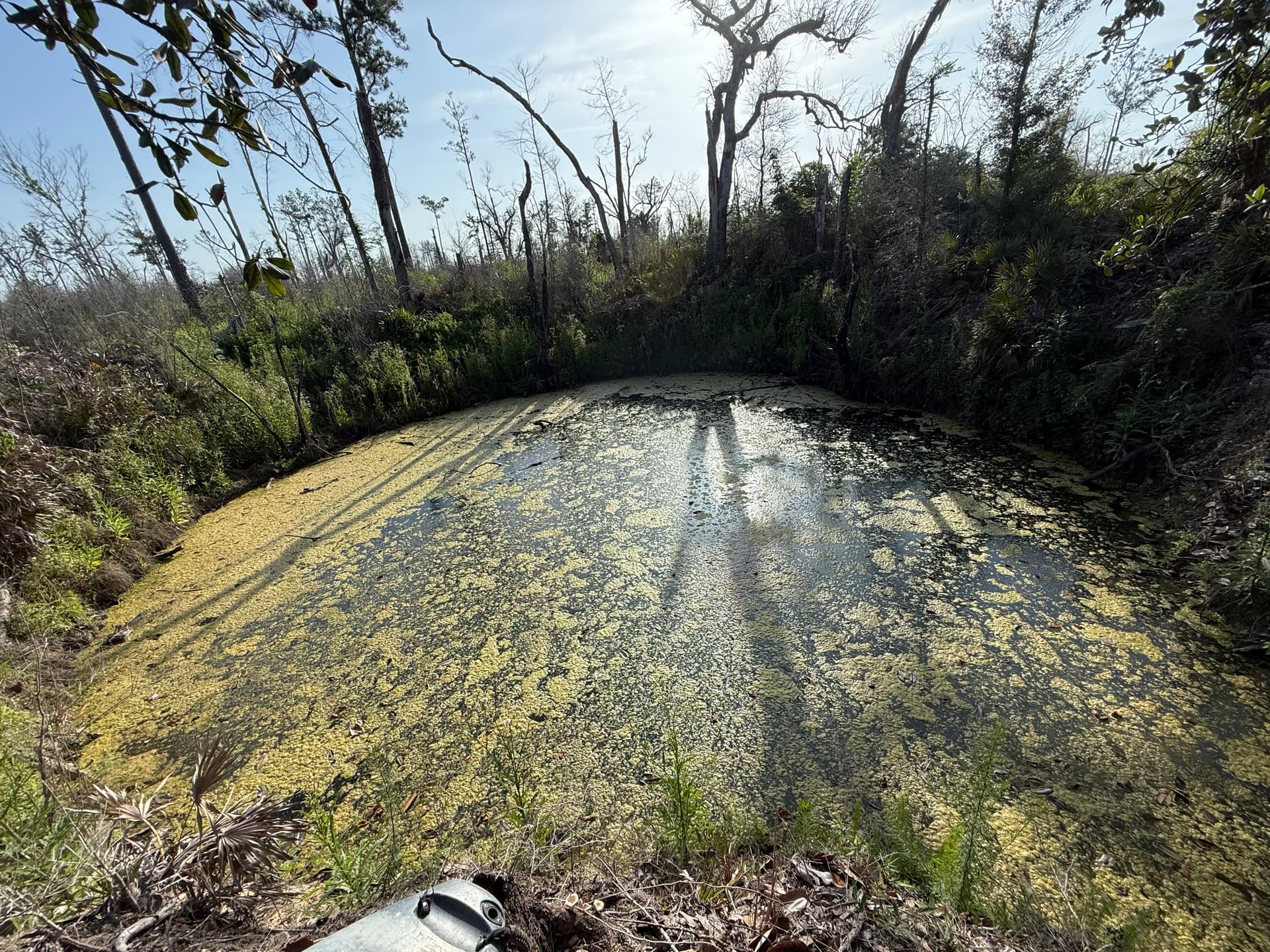 Little Lagoon Spring