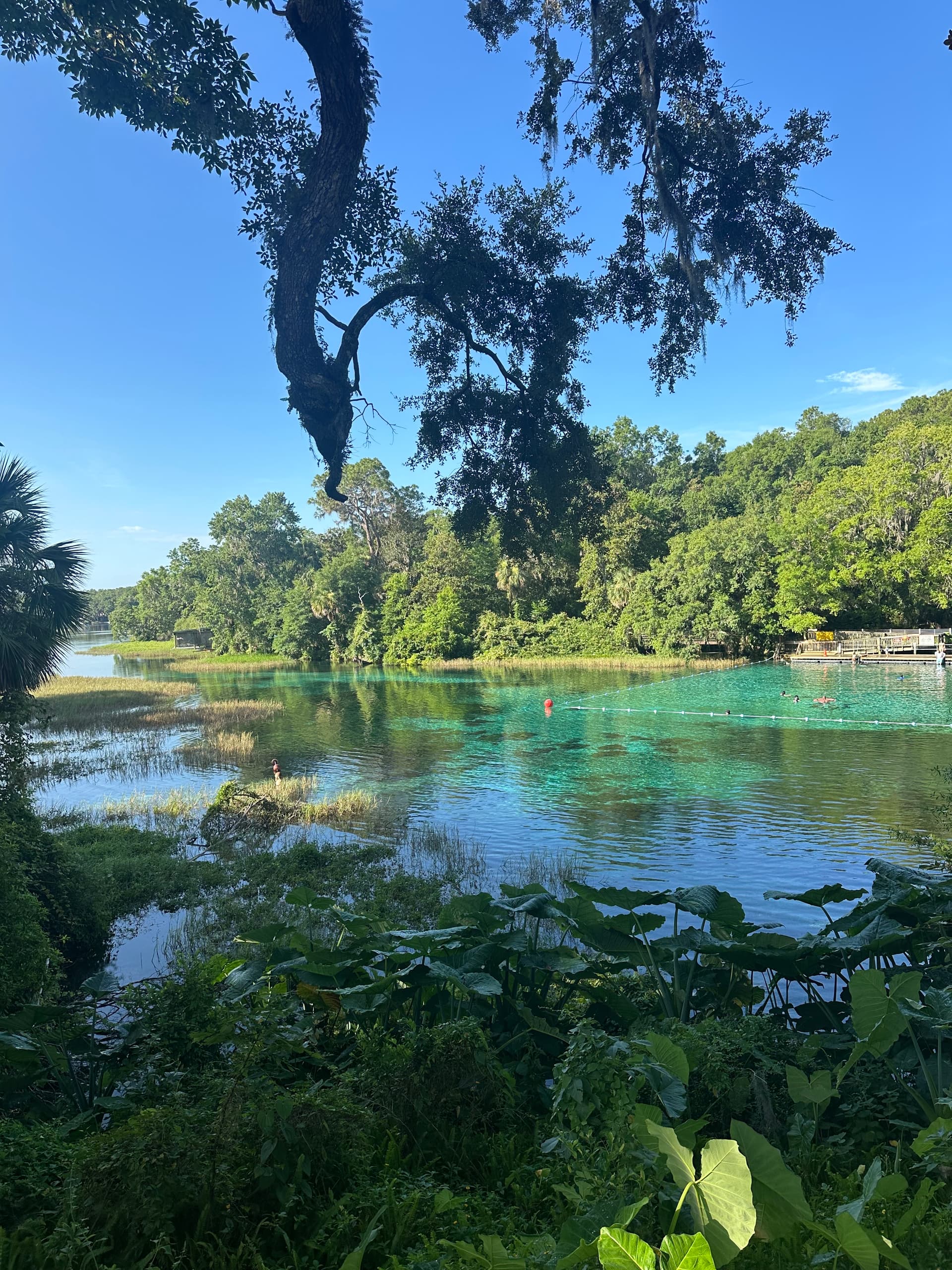 Rainbow Spring