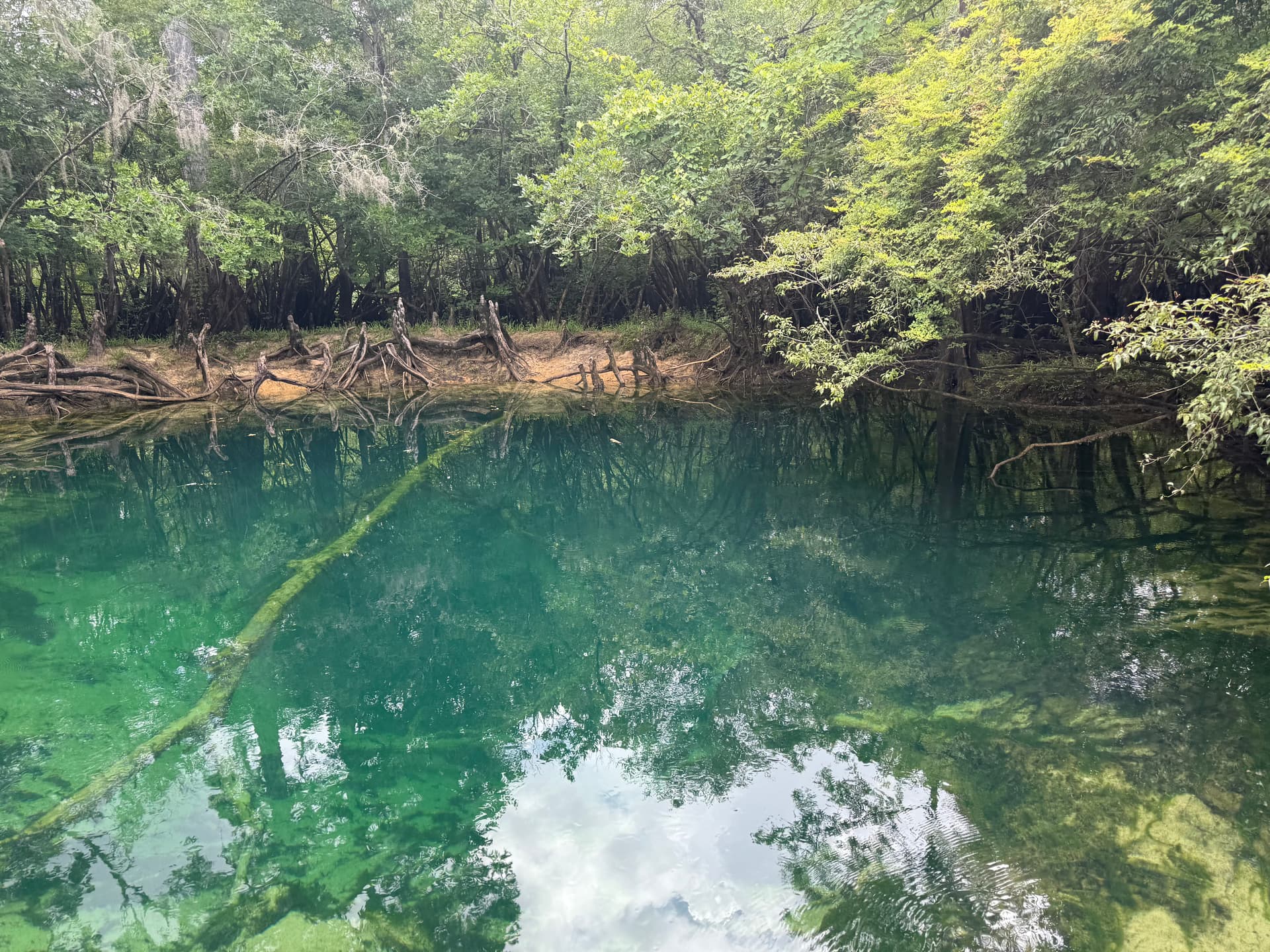 Potter Spring