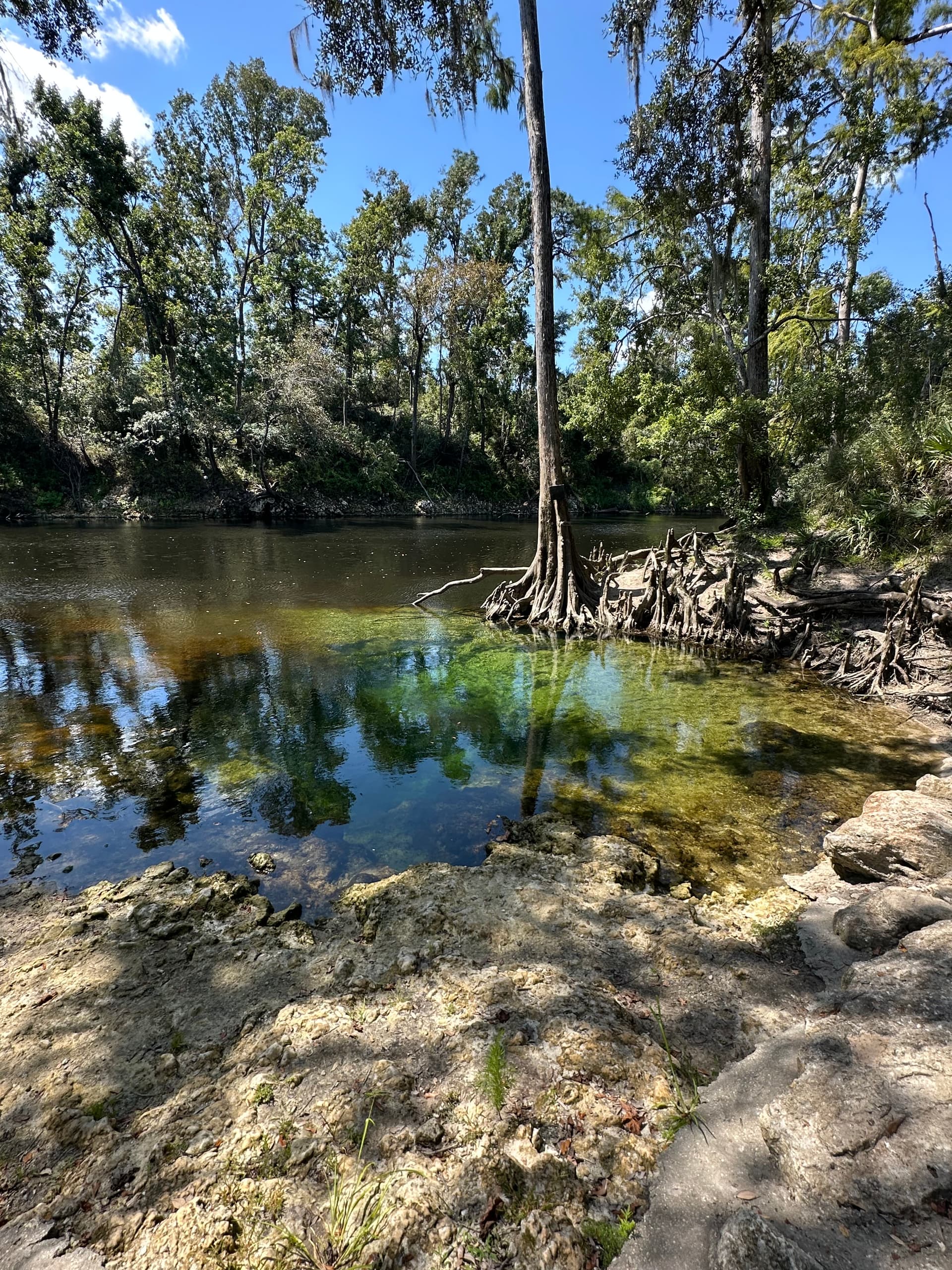 Pot Spring