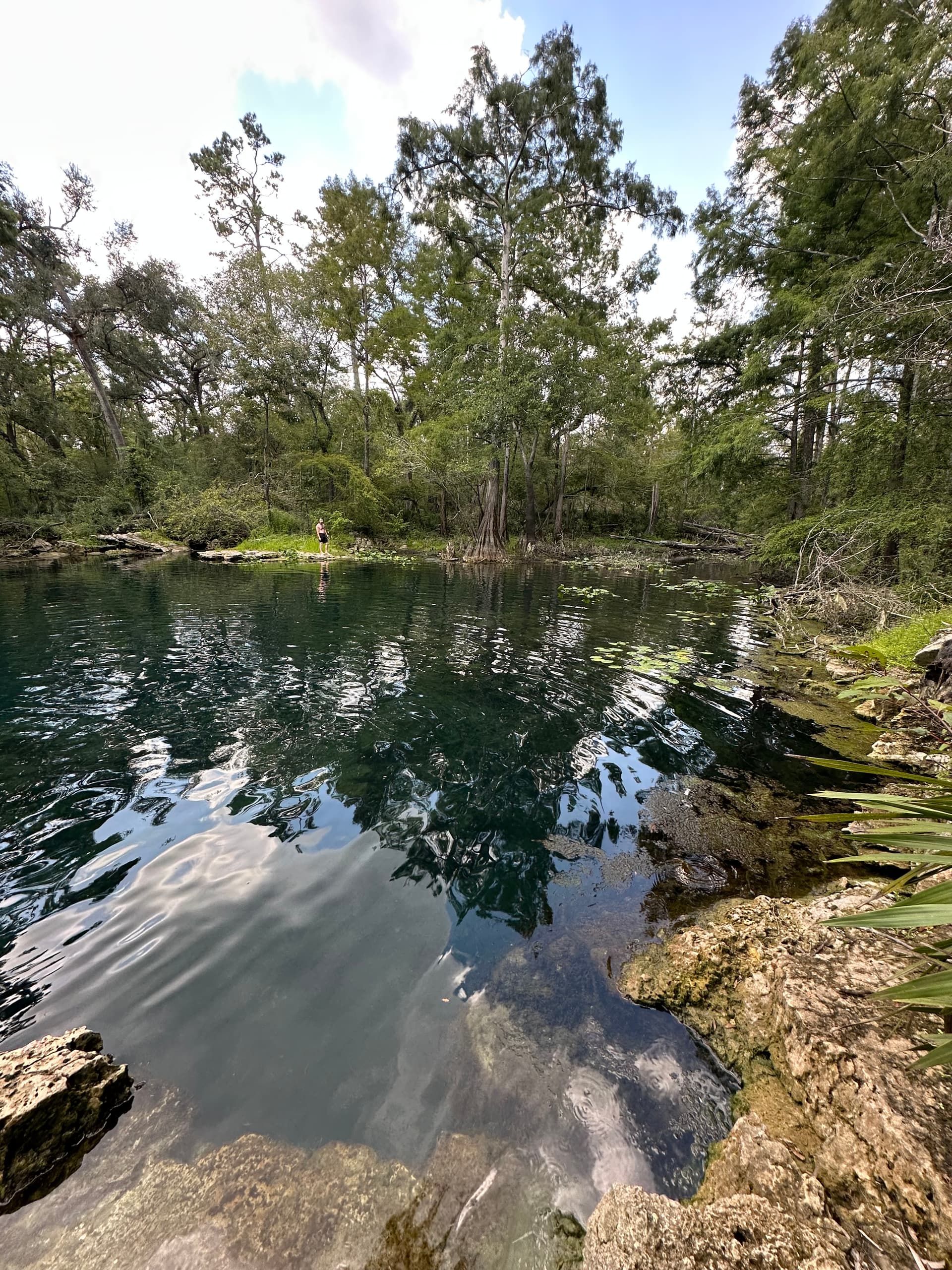 Peacock Springs 2