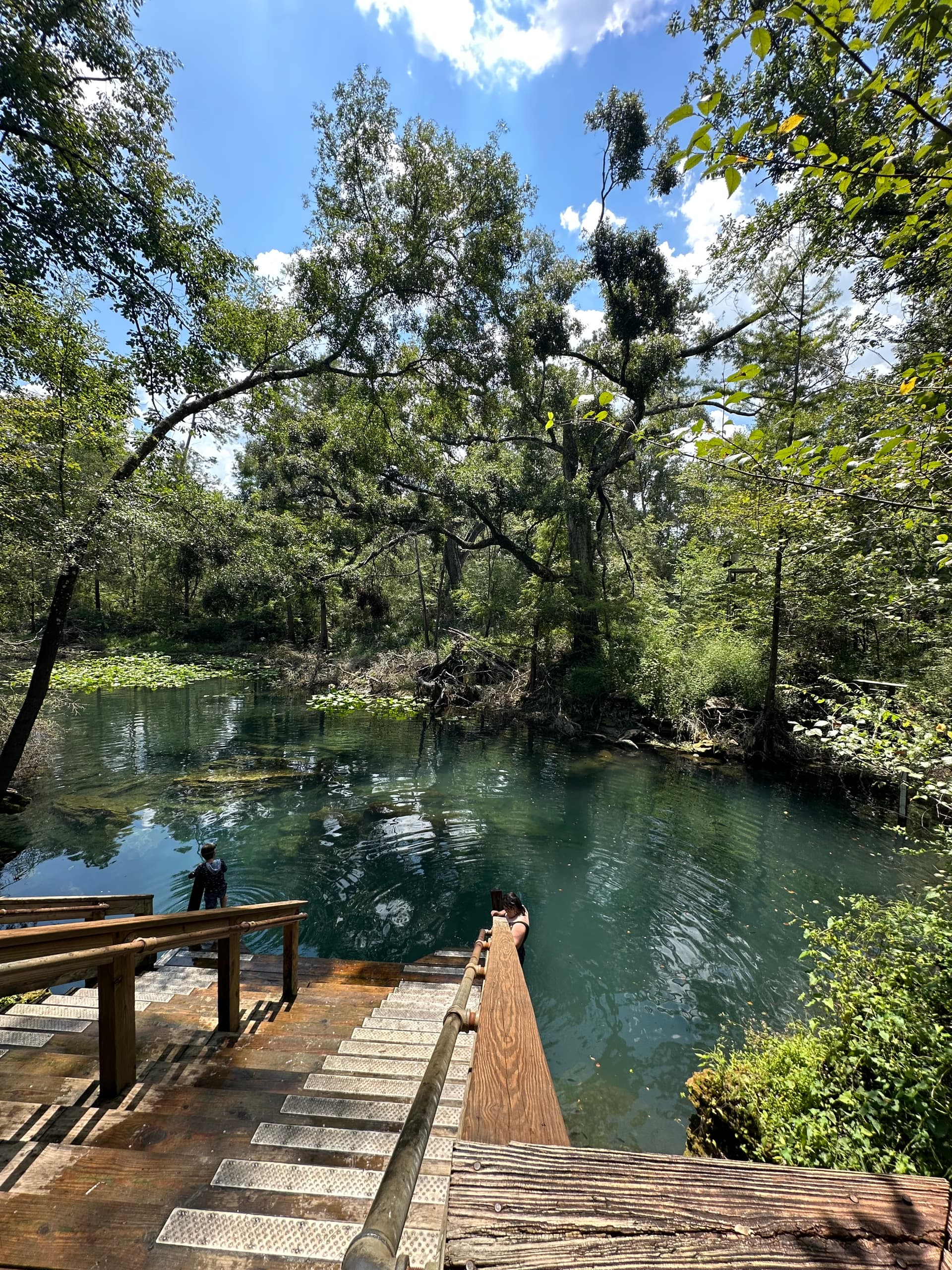Peacock Springs 1