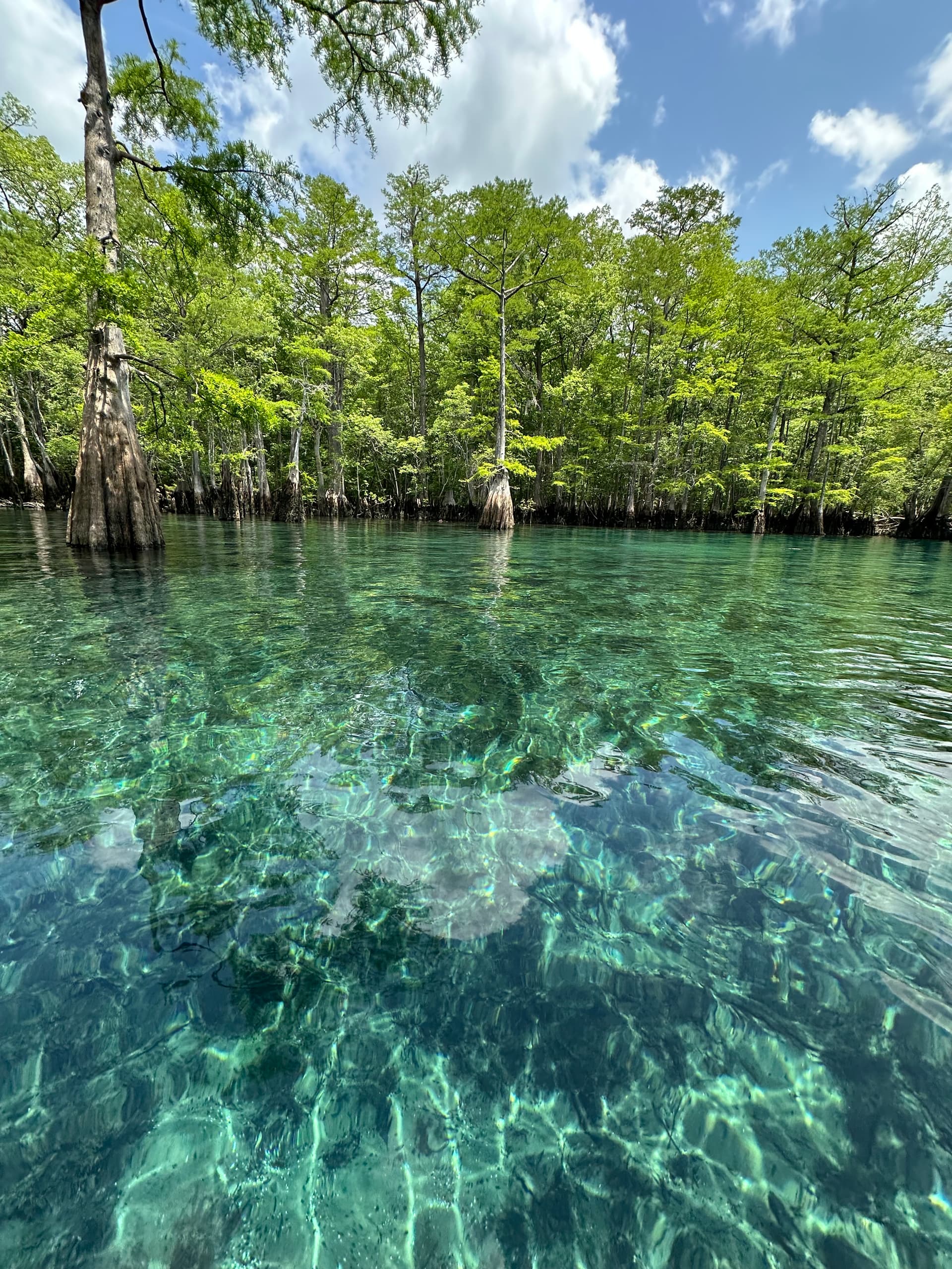Morrison Spring