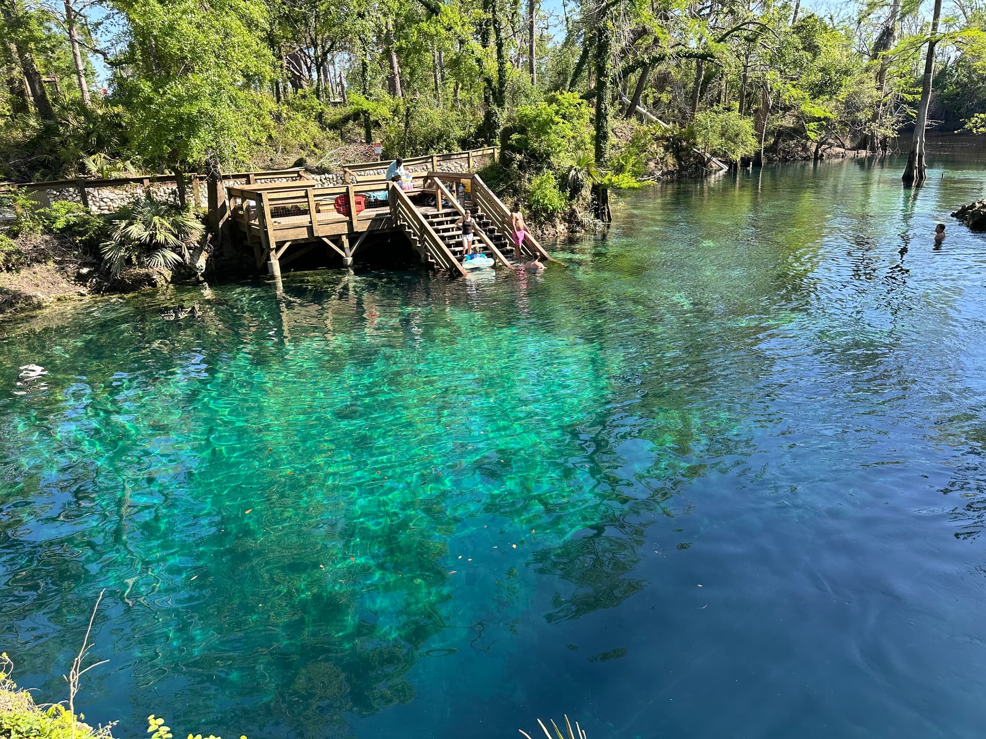 Madison Blue Spring