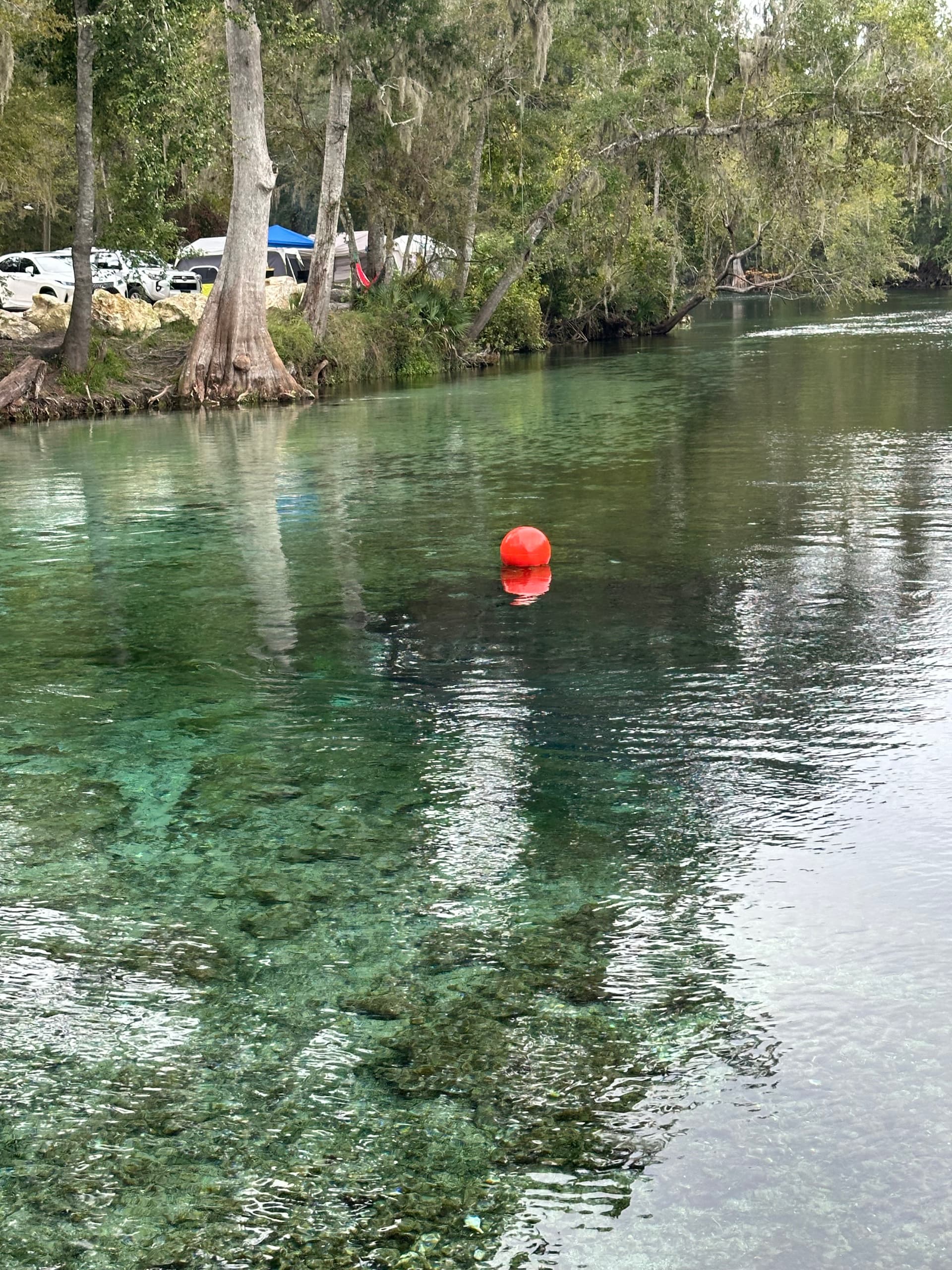 Little Devil Spring