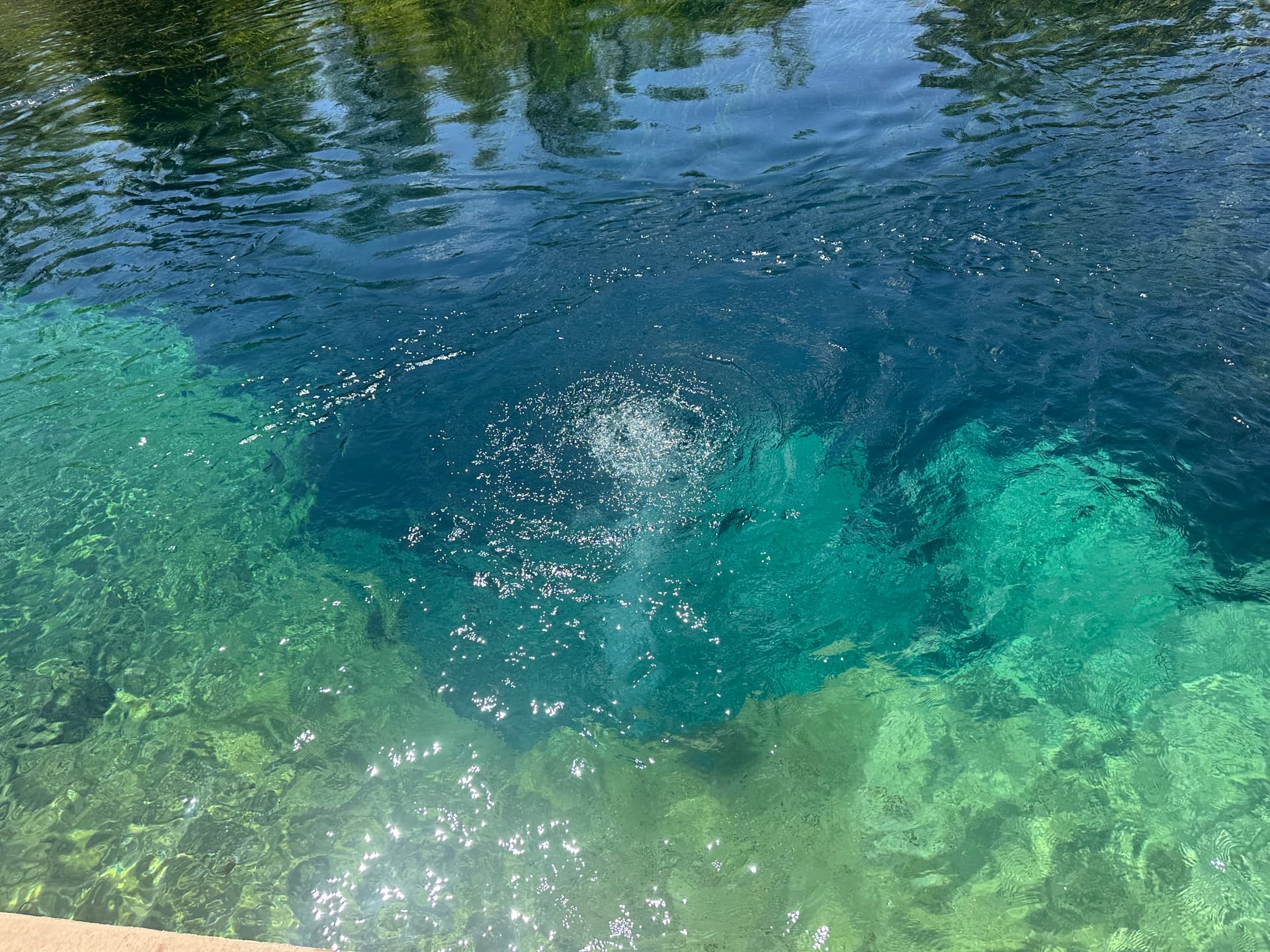 Jackson Blue Spring