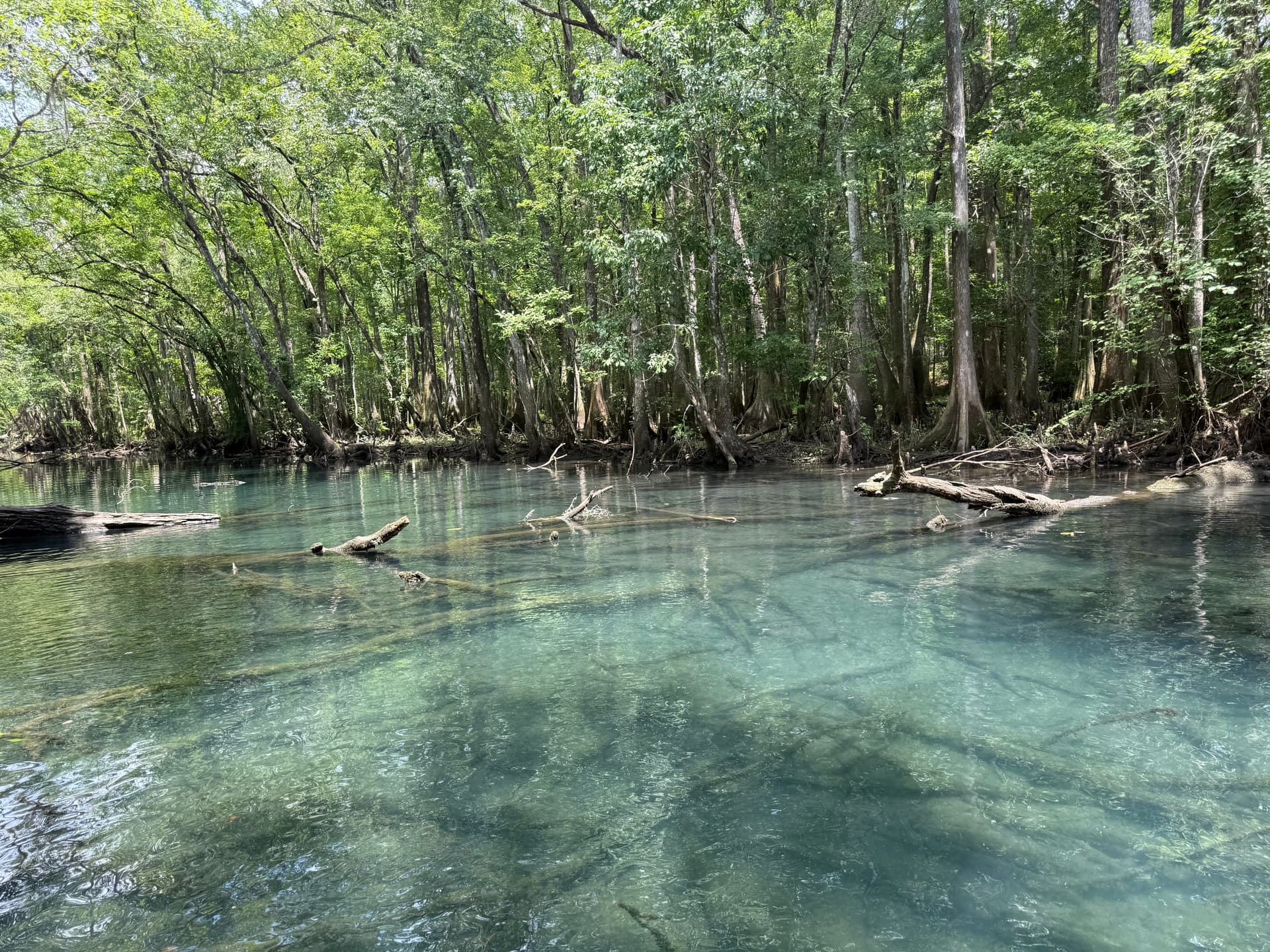 Jack Paul Springs