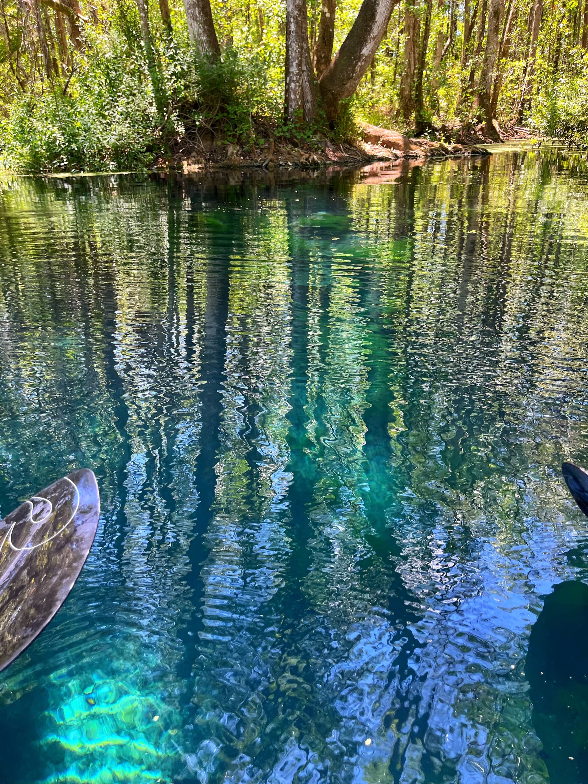 Horse Head Spring