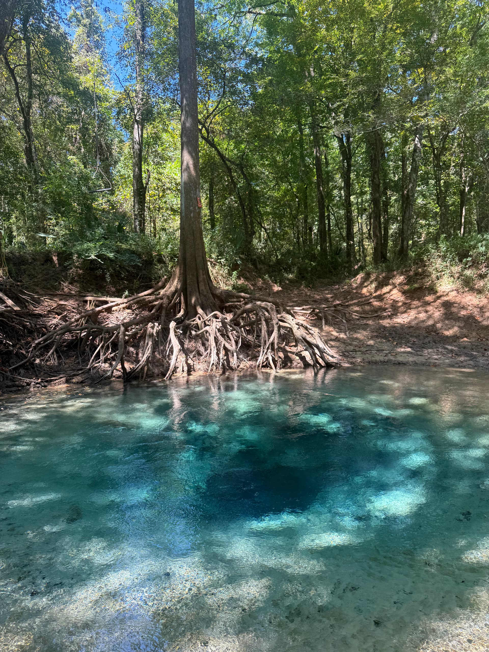 Holmes Blue Spring