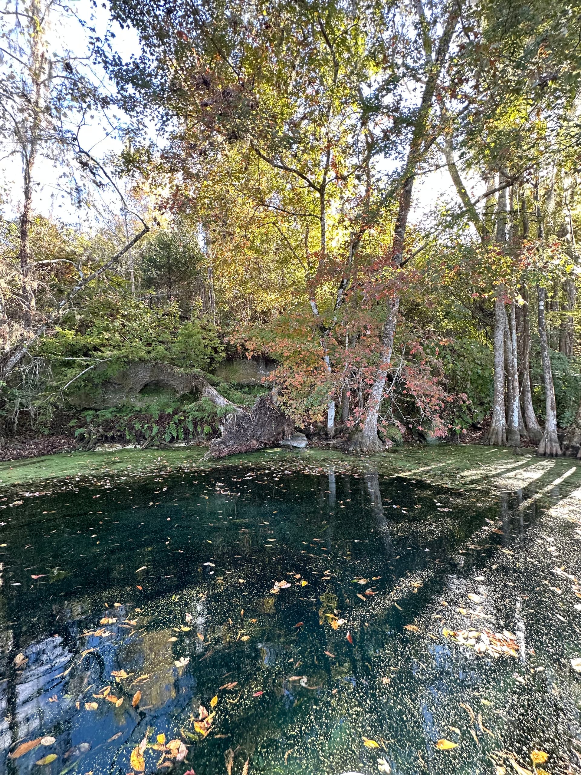Hole In The Rock Spring