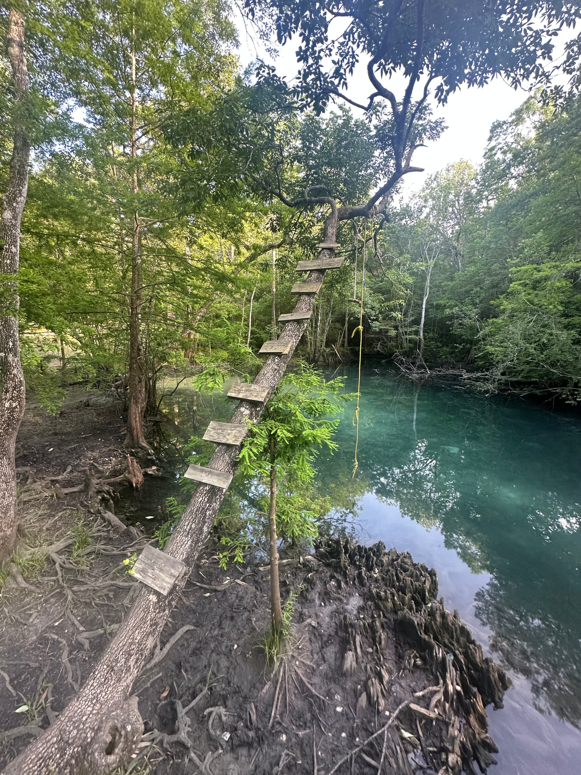 Hightower Spring