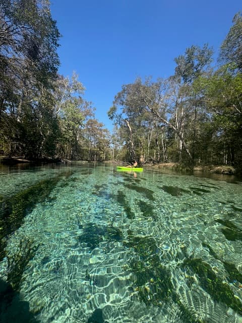 Gilchrist Blue Spring