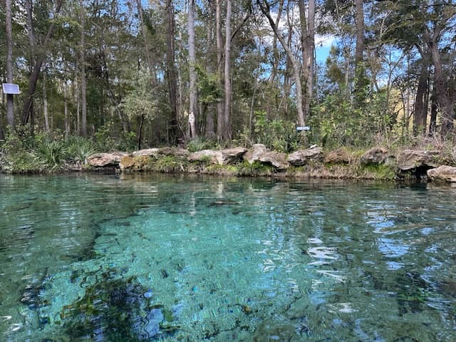 Ginnie Spring