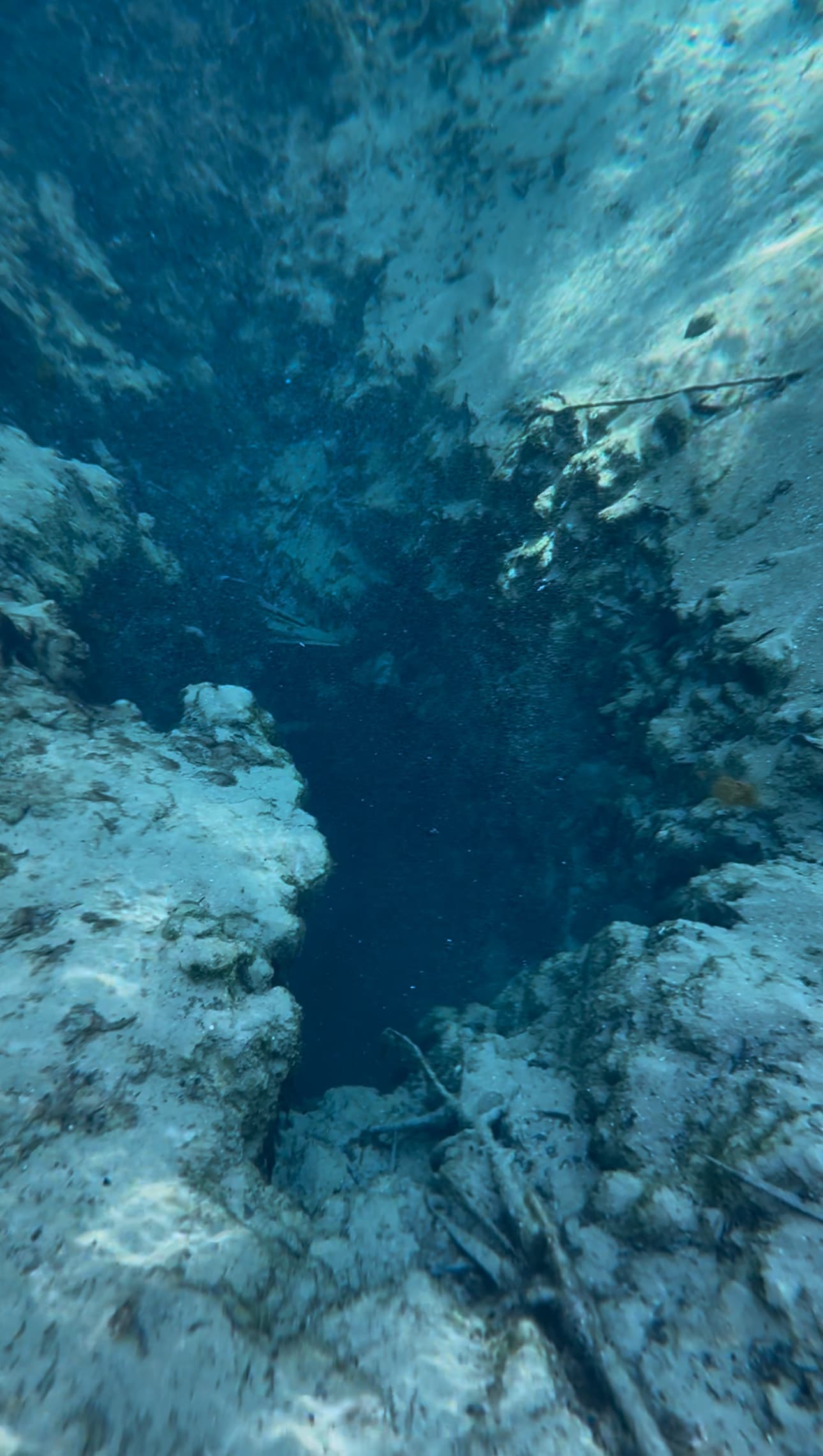 Gainer Spring 1C - McCormick