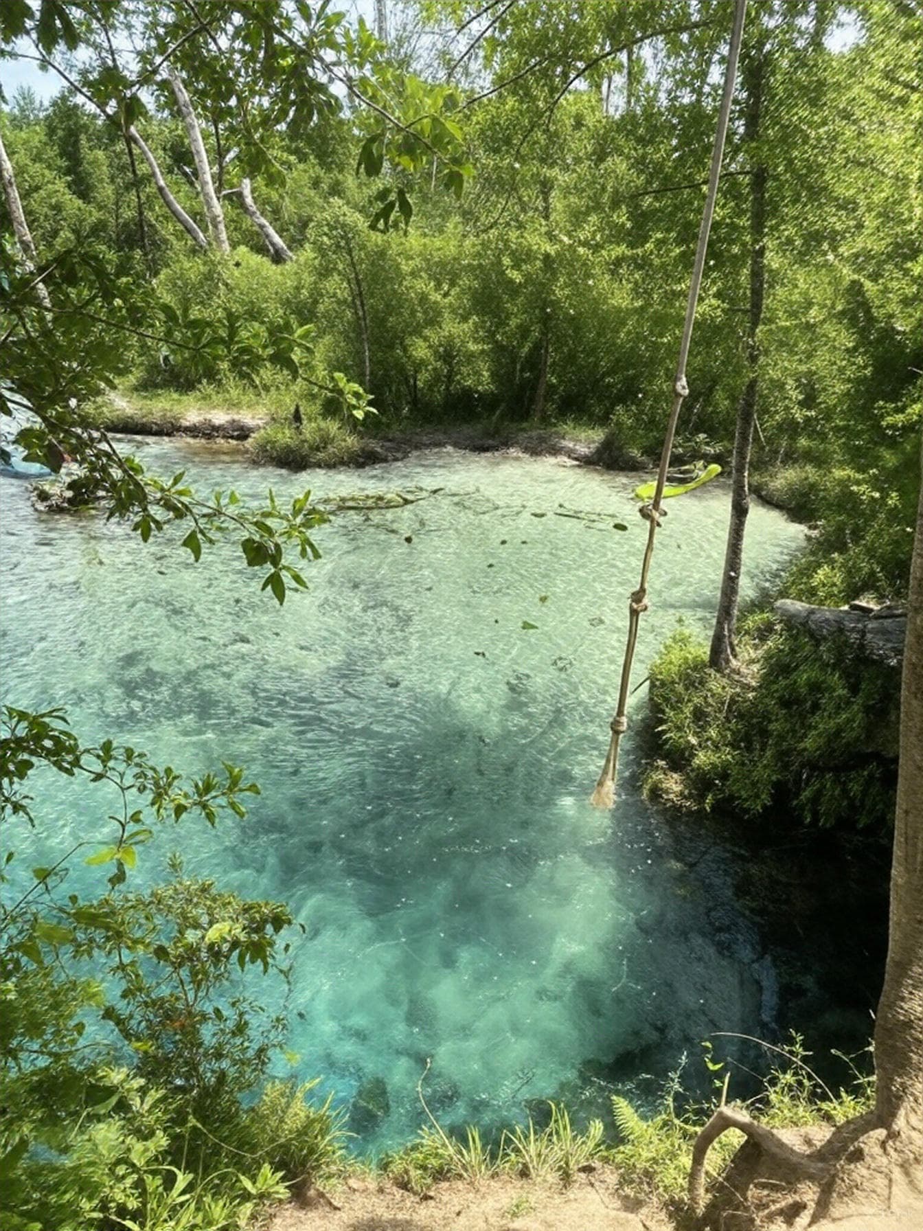 Gainer Spring 2 - Emerald