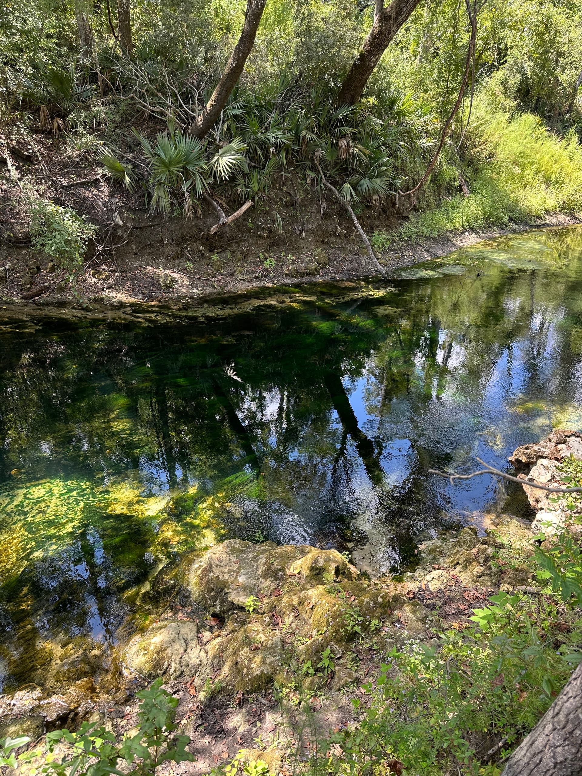 Falmouth Spring