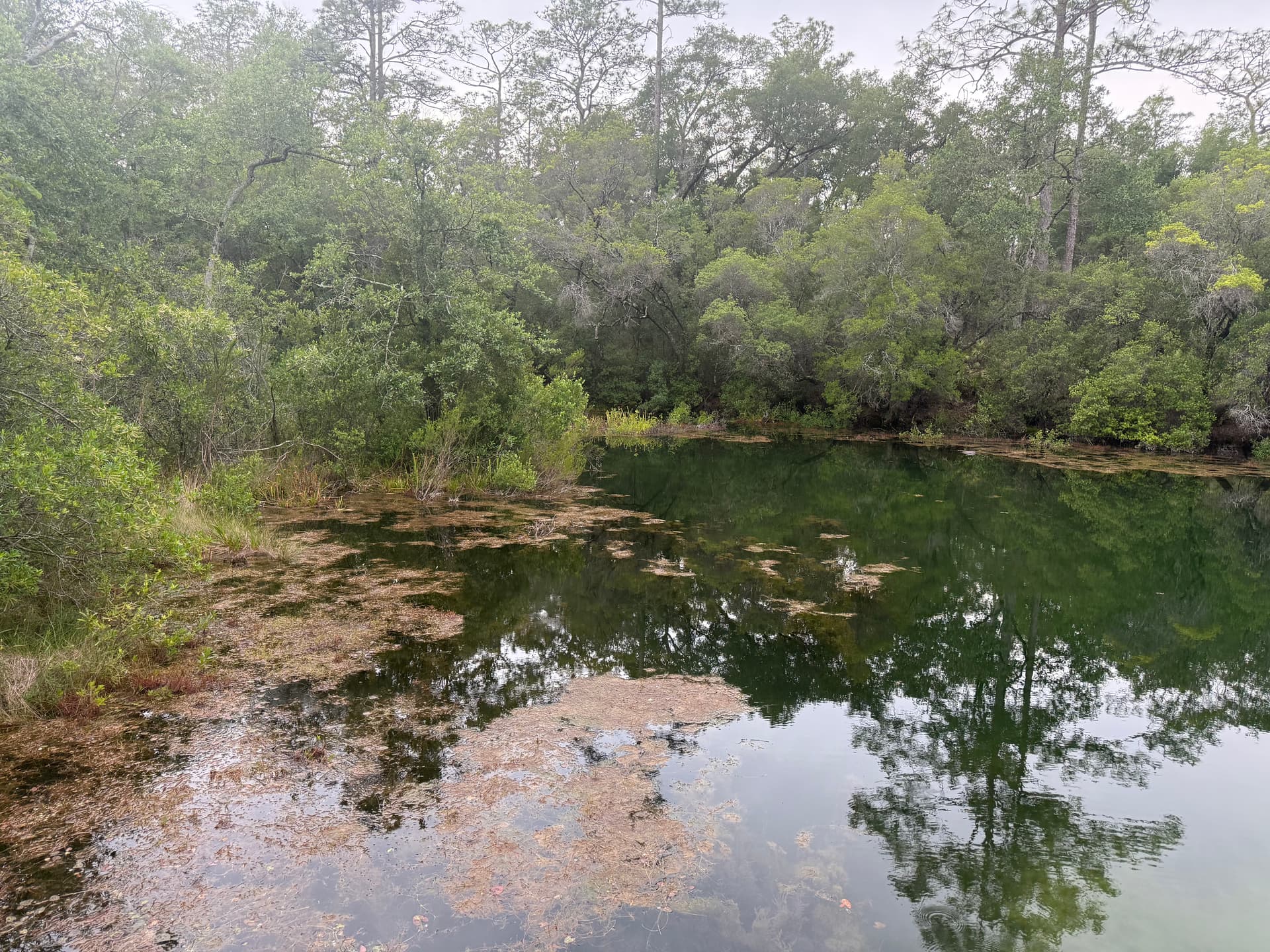 Eglin Blue Spring