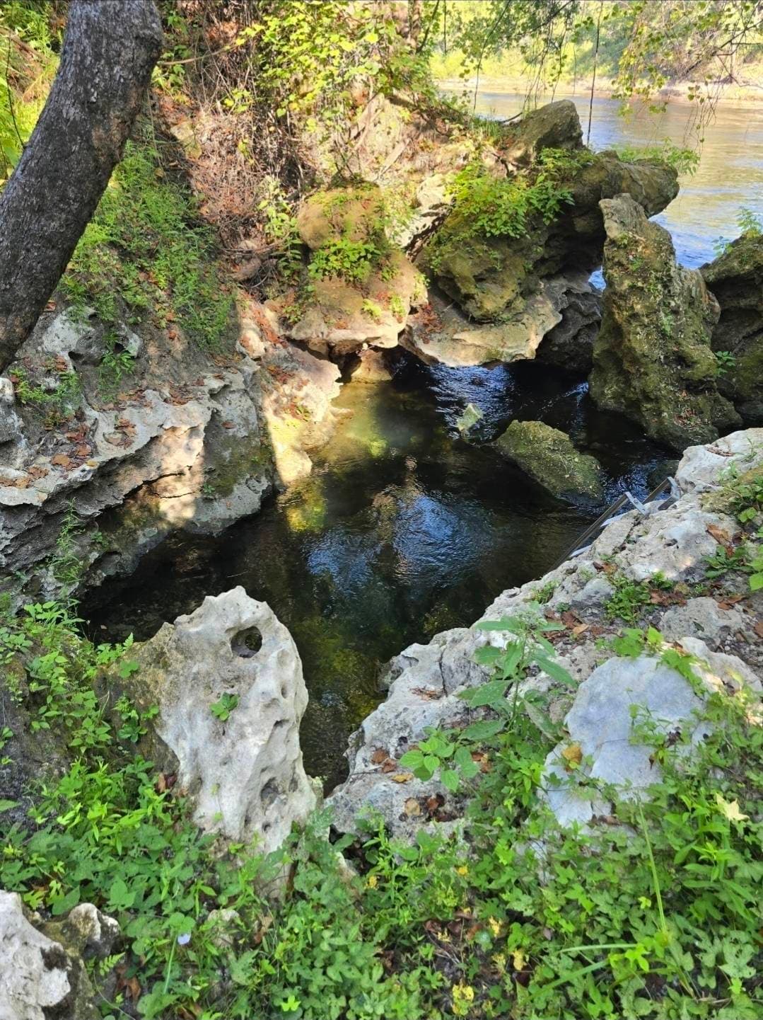 Ellaville Spring - Edward’s Spring