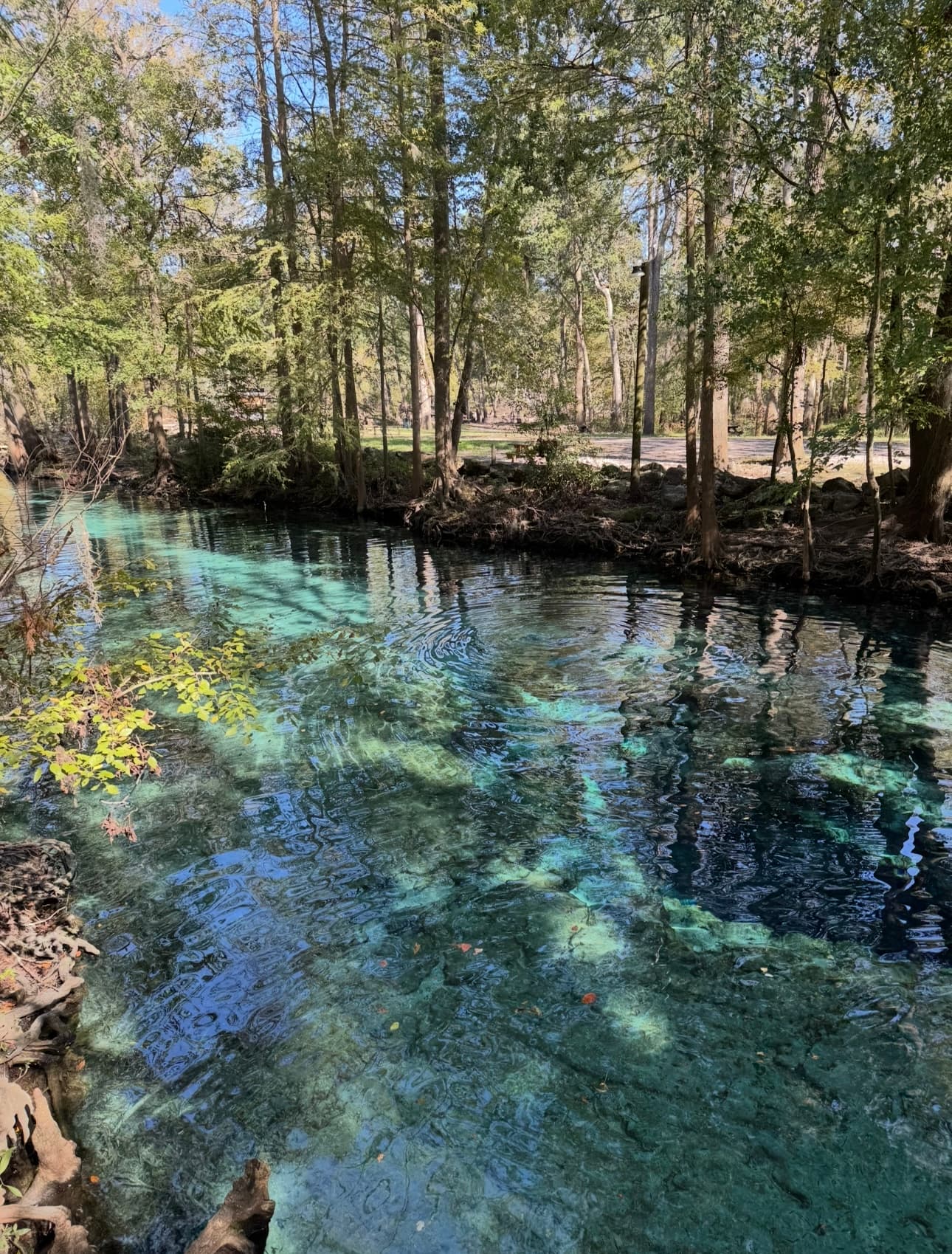 Devils Ear Spring