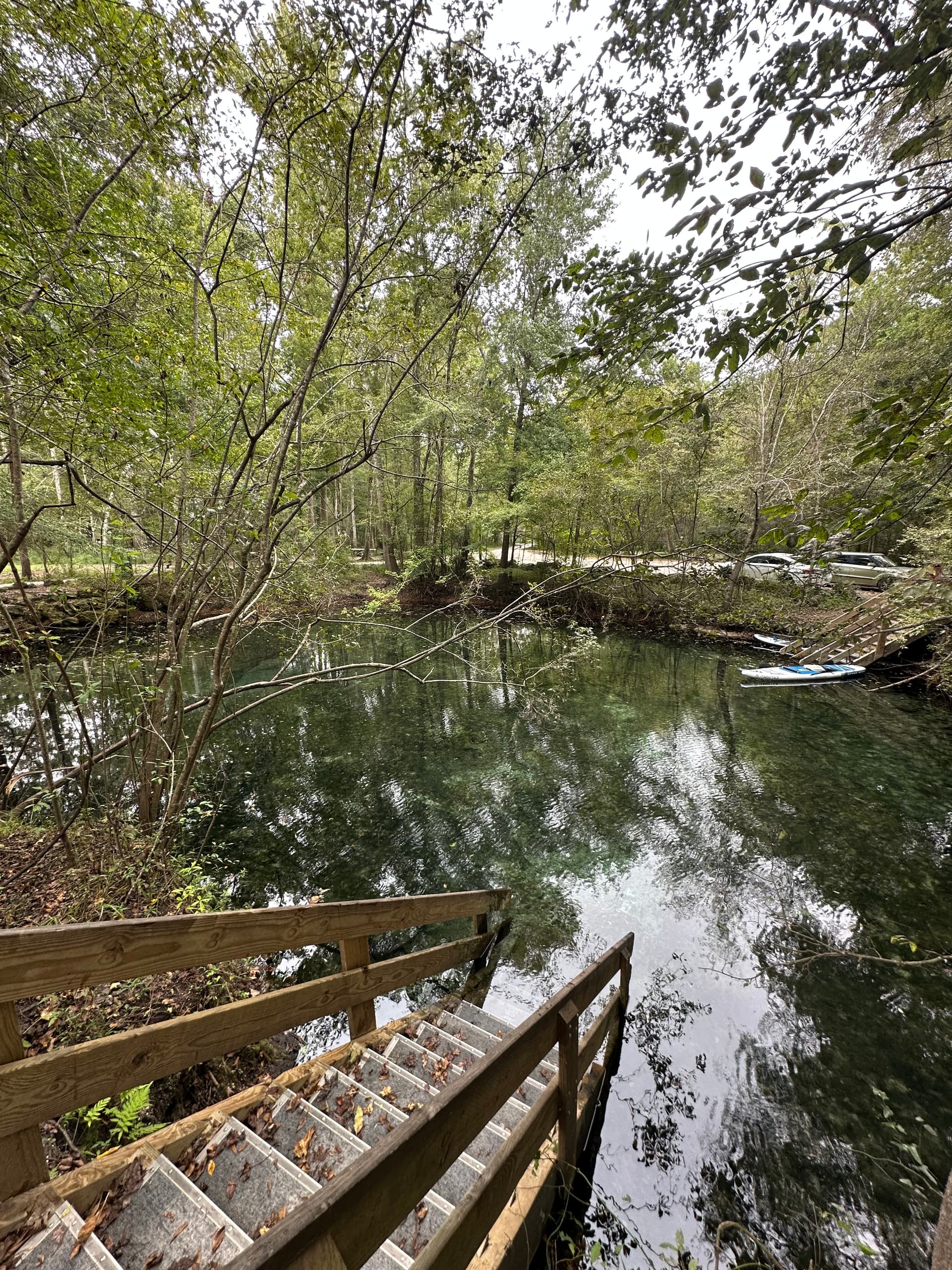 Deer Spring