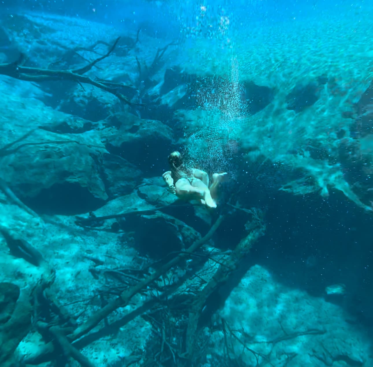 Cypress Spring