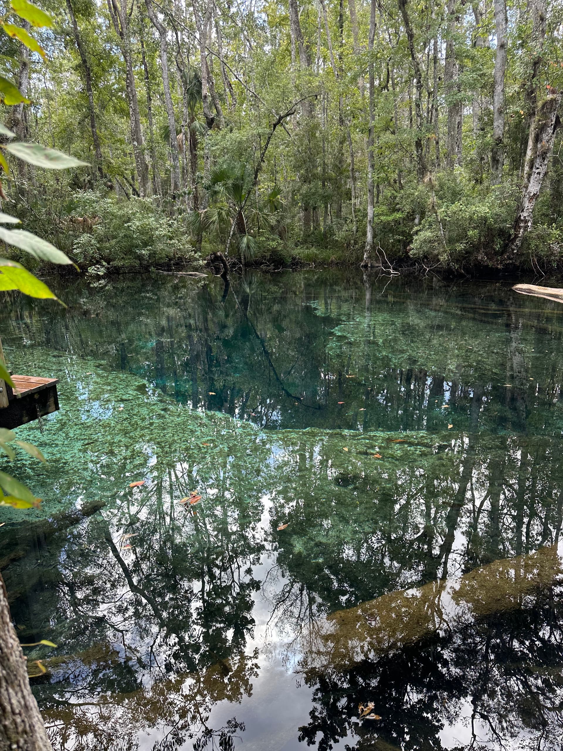 Buford Spring