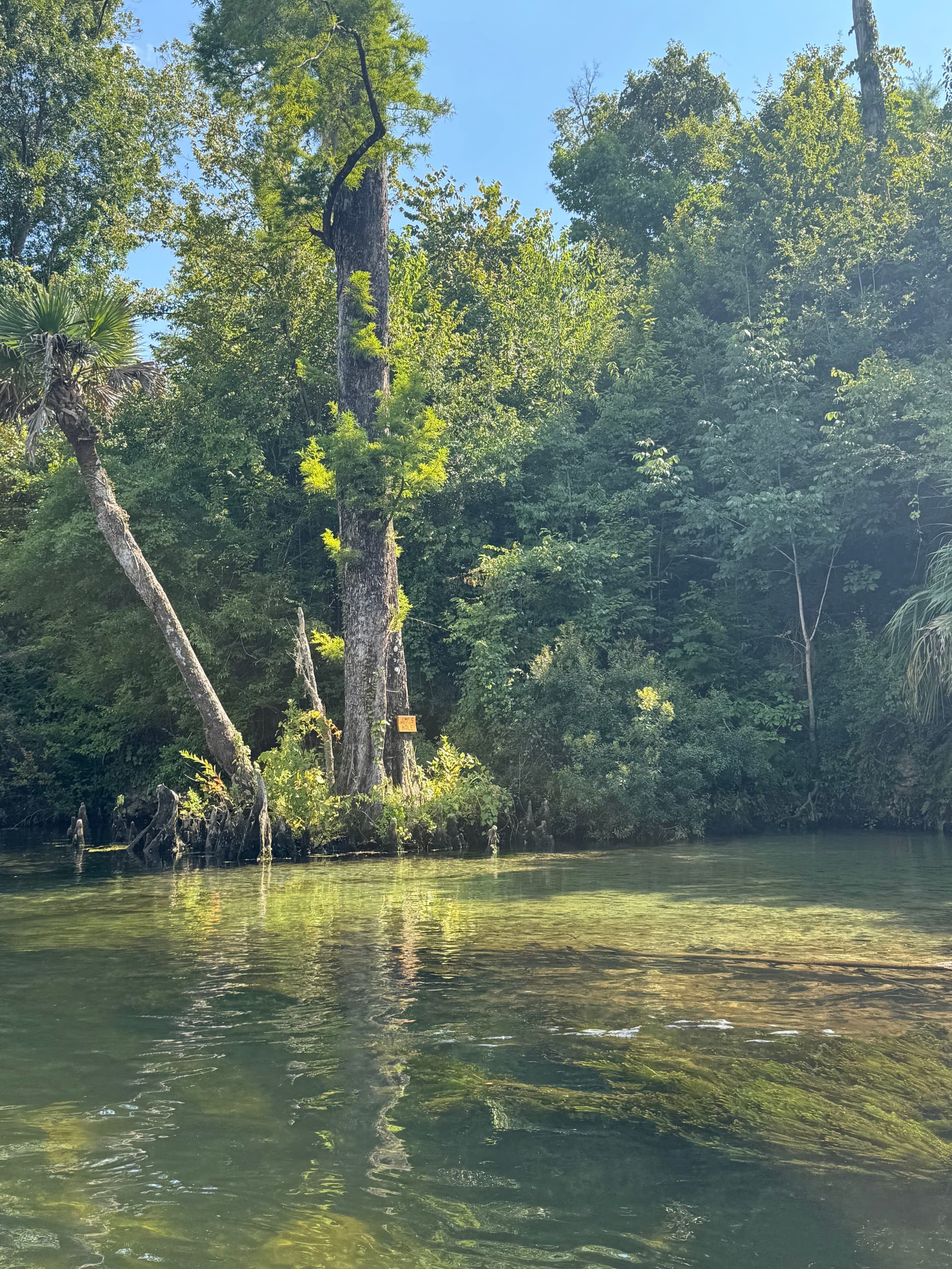 Bluff Springs - Jim’s Hole
