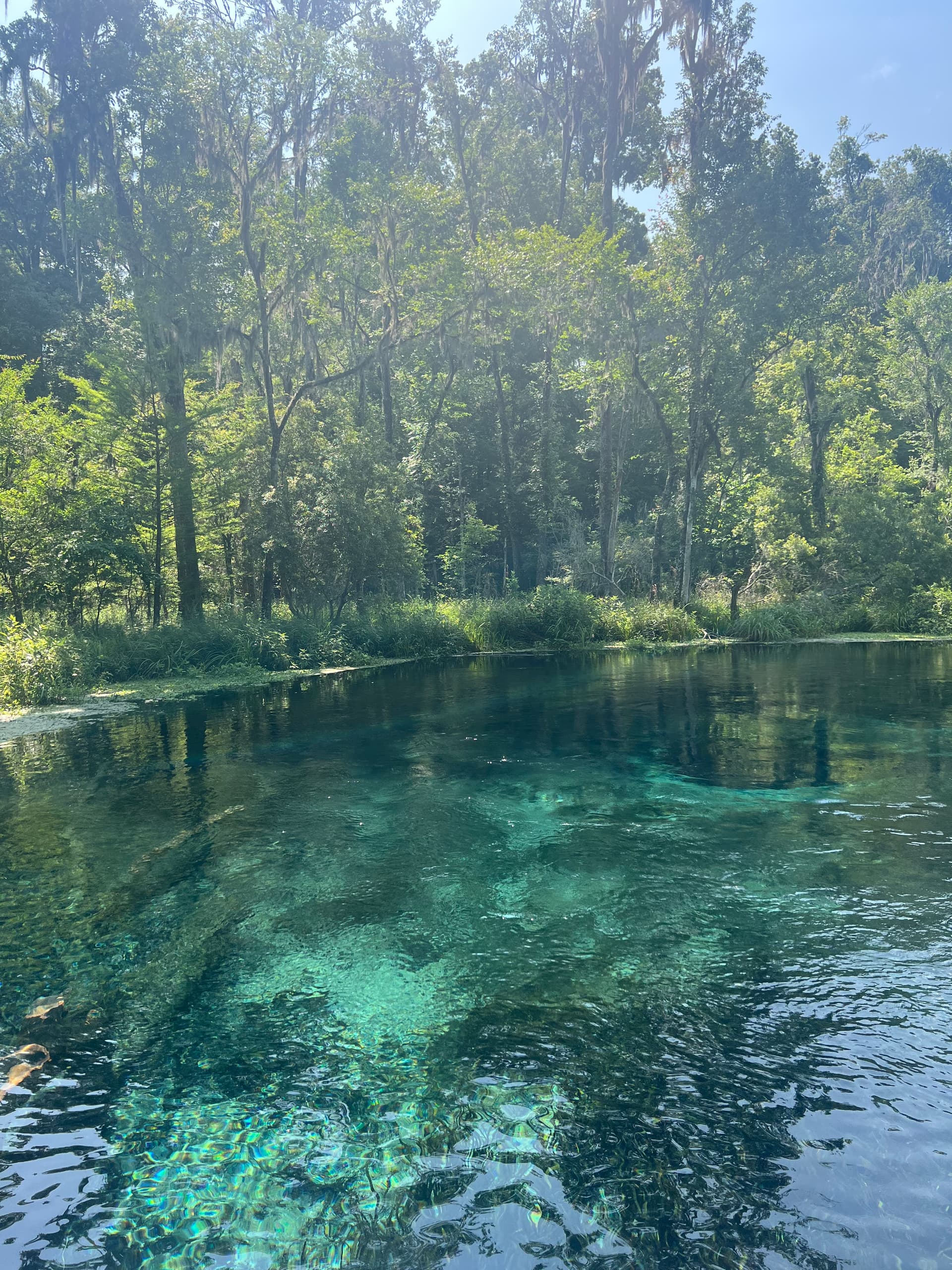 Blue Hole Spring - Jug Spring