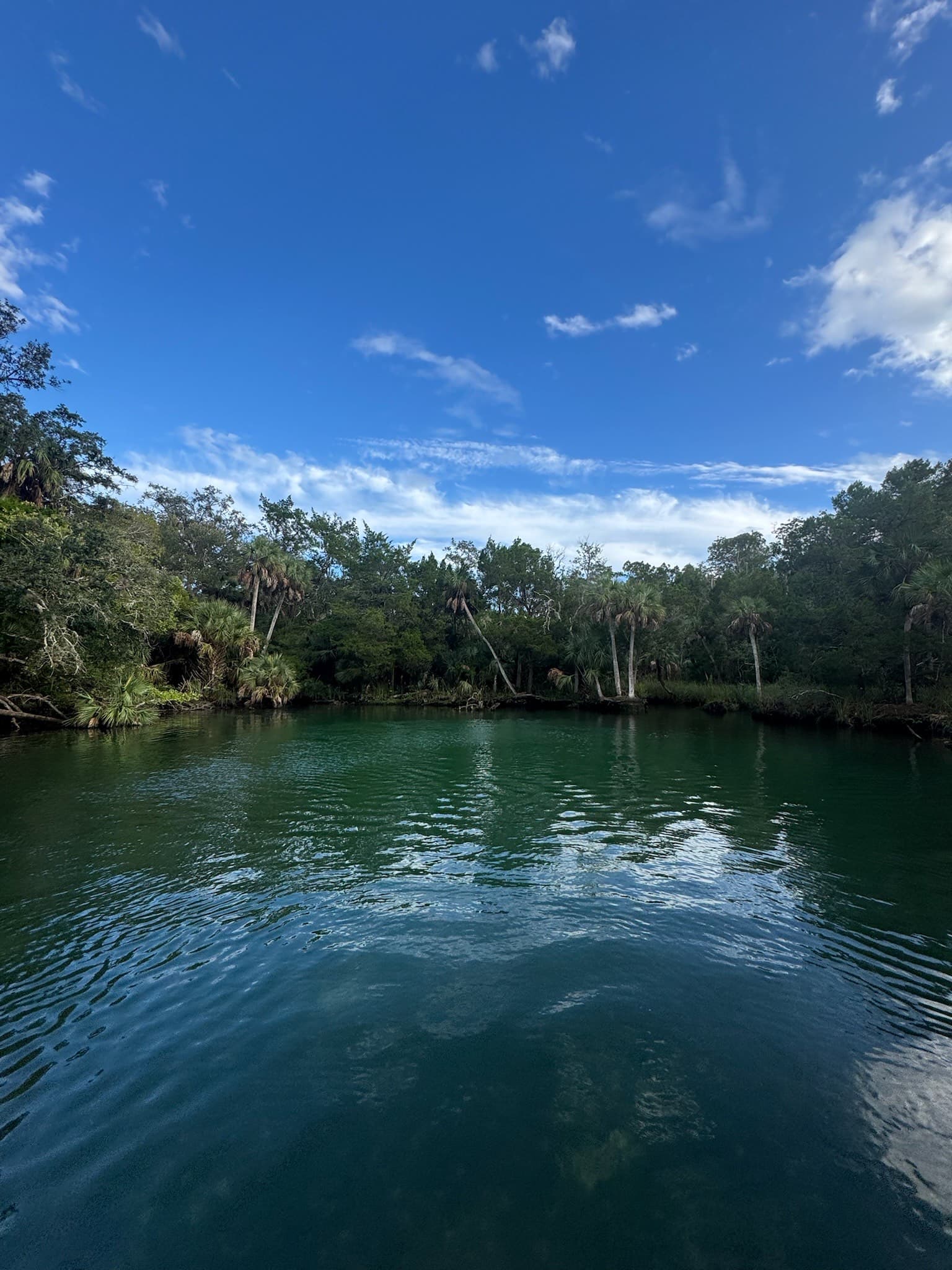 Baird Spring 3 - Blue Spring