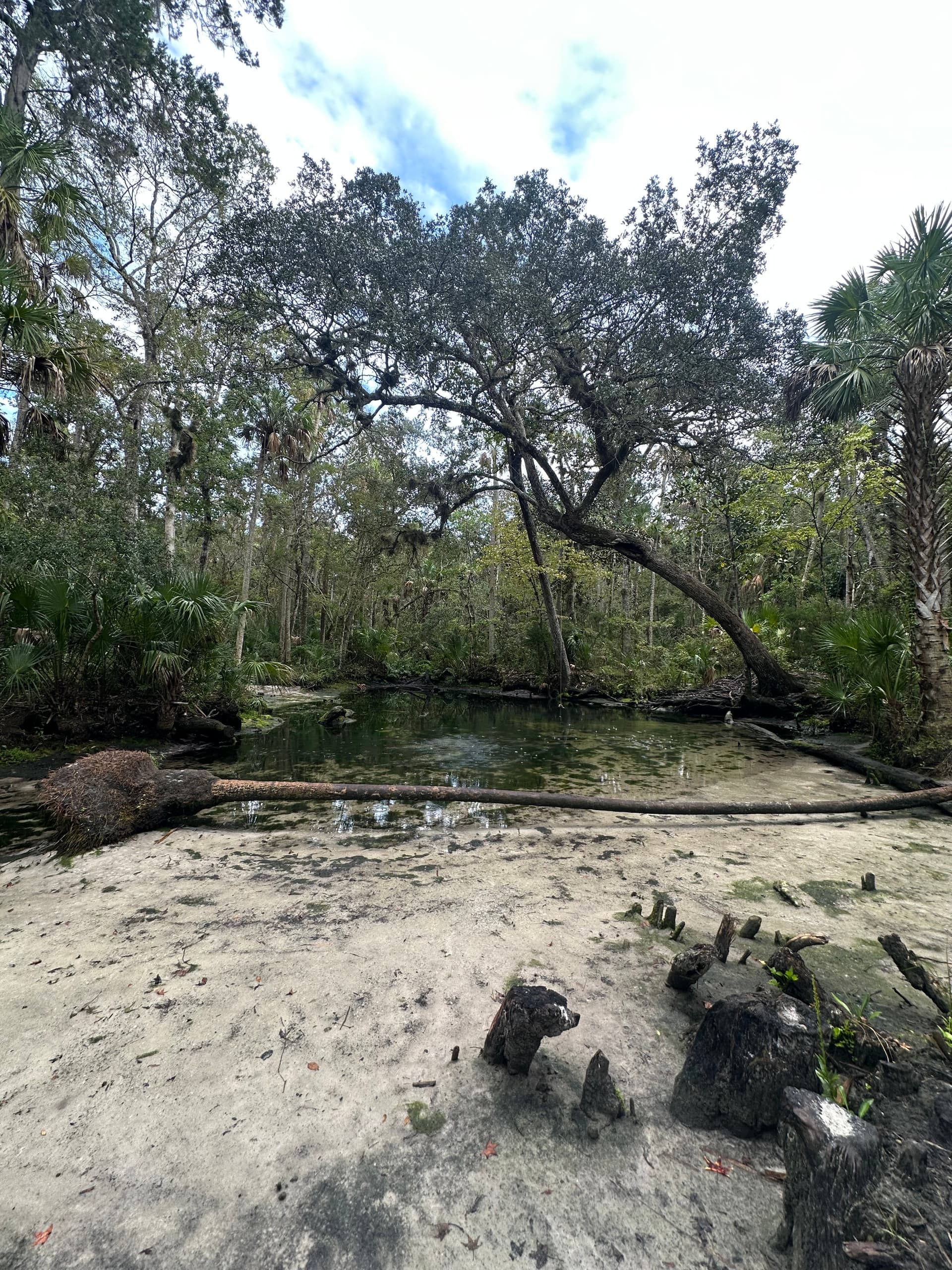 Baird Spring 1 - The Crack