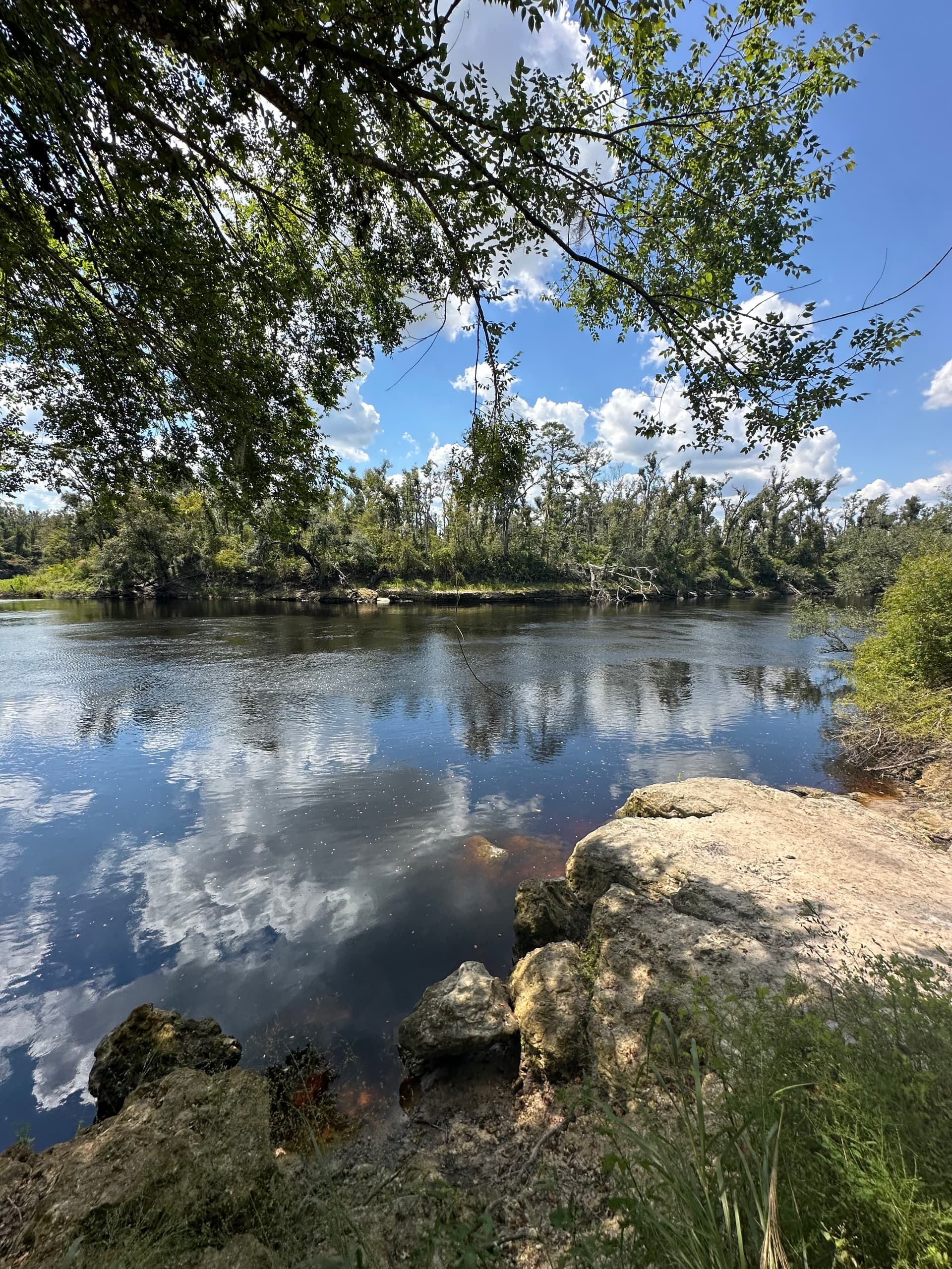 Anderson Spring