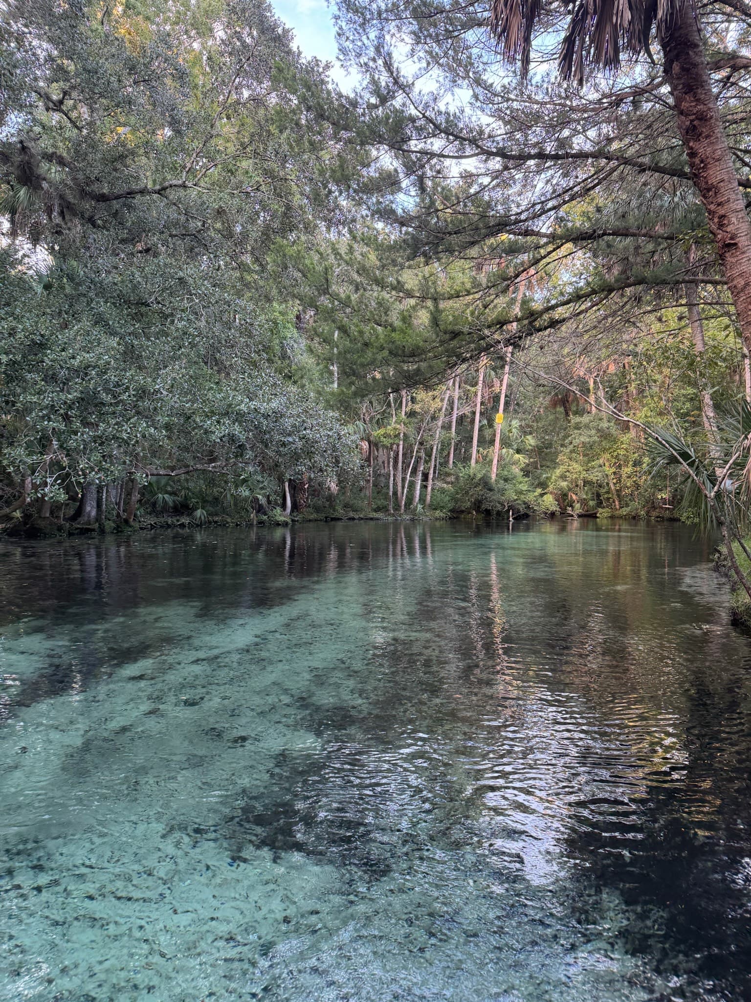 7 Sisters Springs